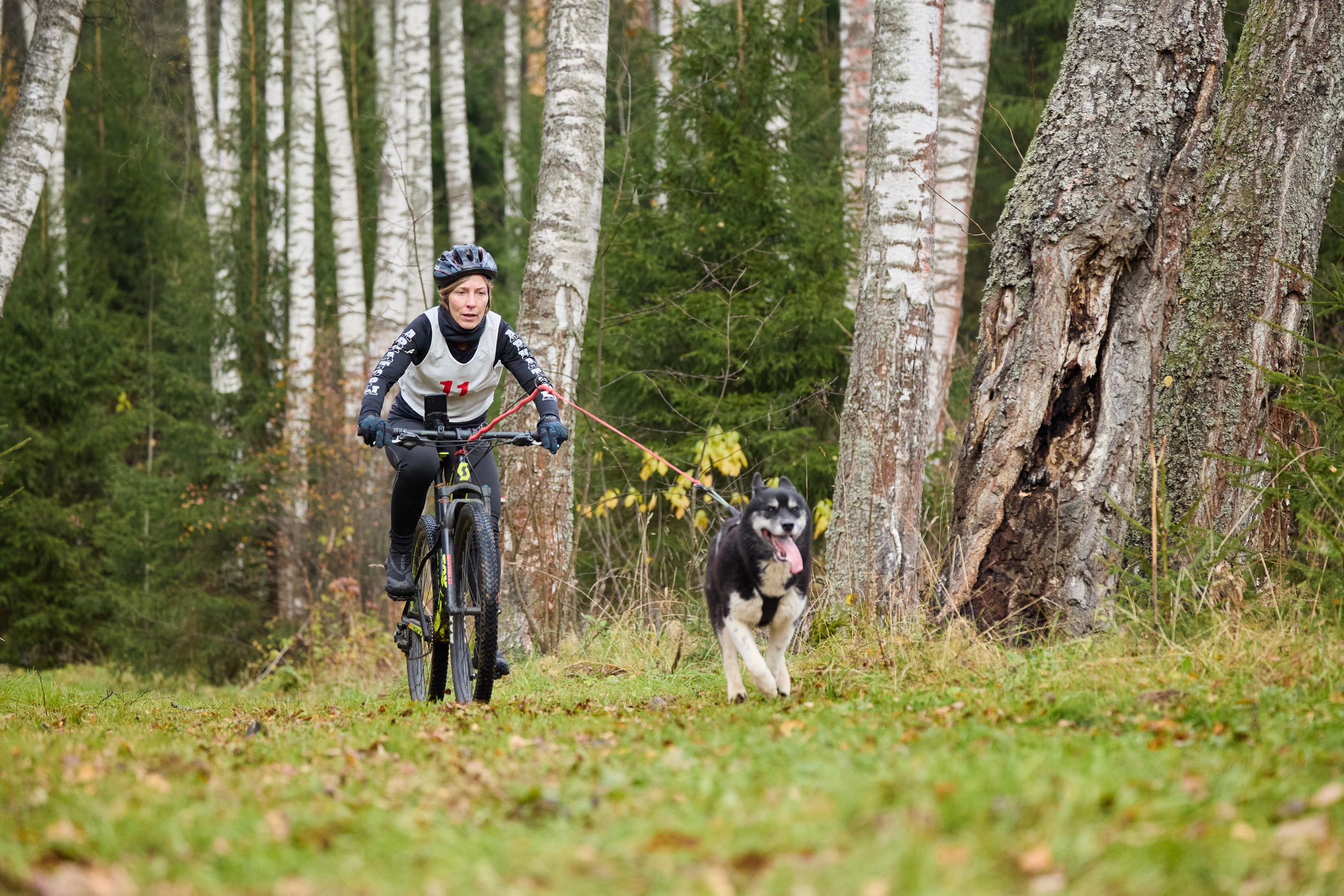 Чемпионат по ЕС Ярославской области. Фотограф Ирина Астор
