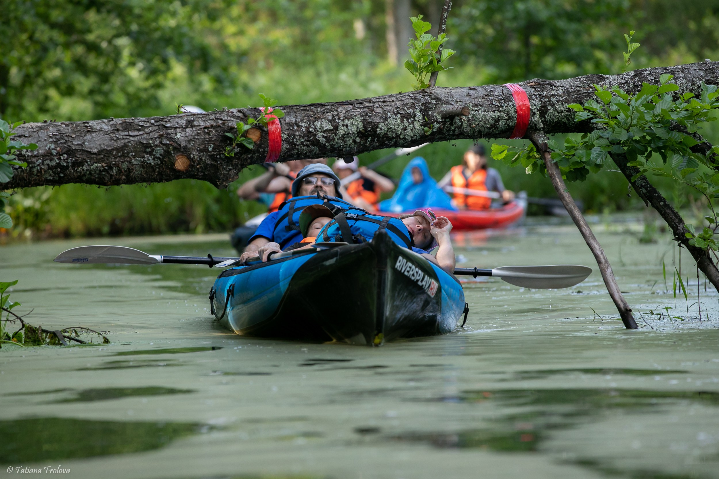 Фотоочет о сплаве на байдарках вместе с собаками. Фотограф-анималист в Москве и Московской области Татьяна Фролова