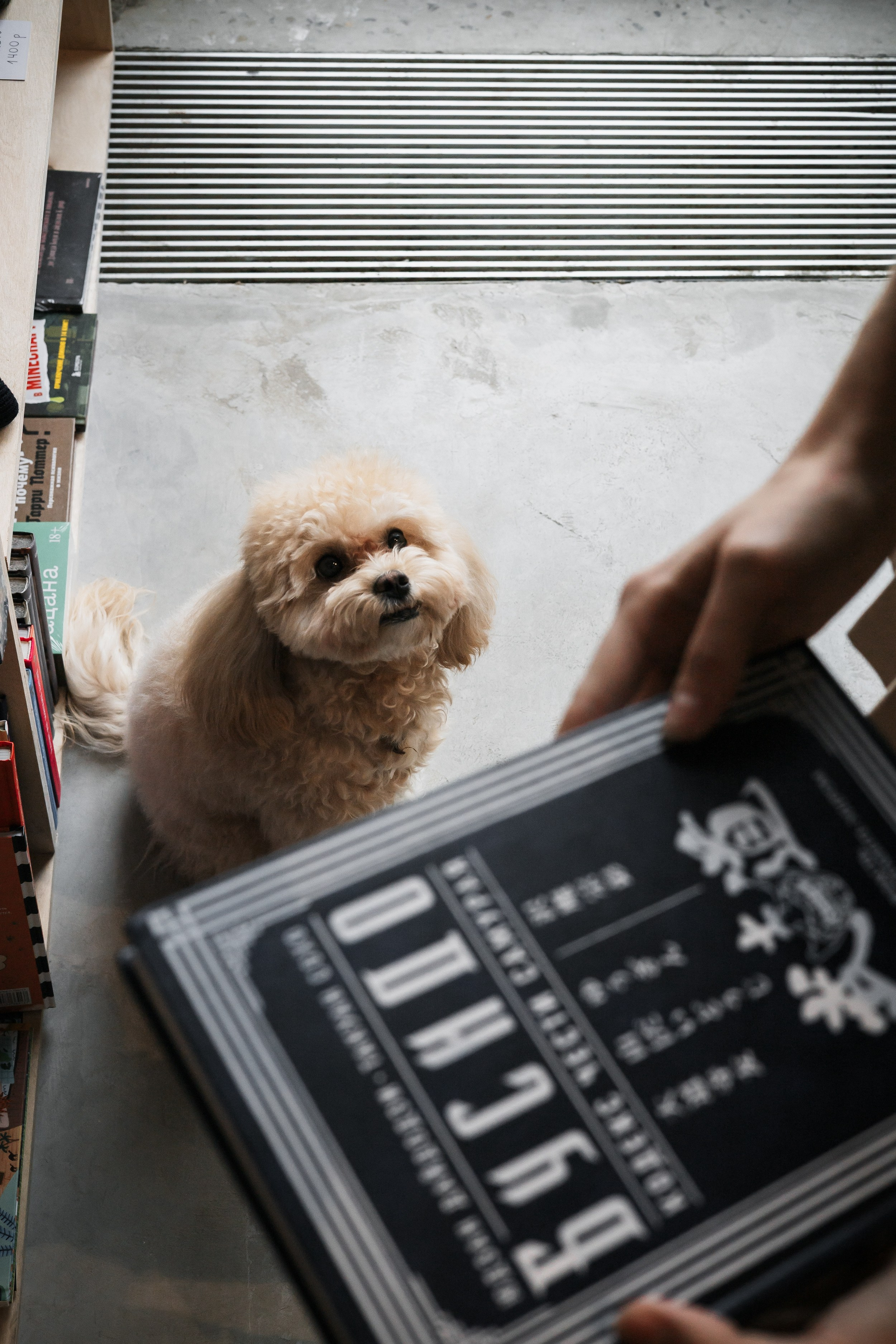 Алина — прогулка