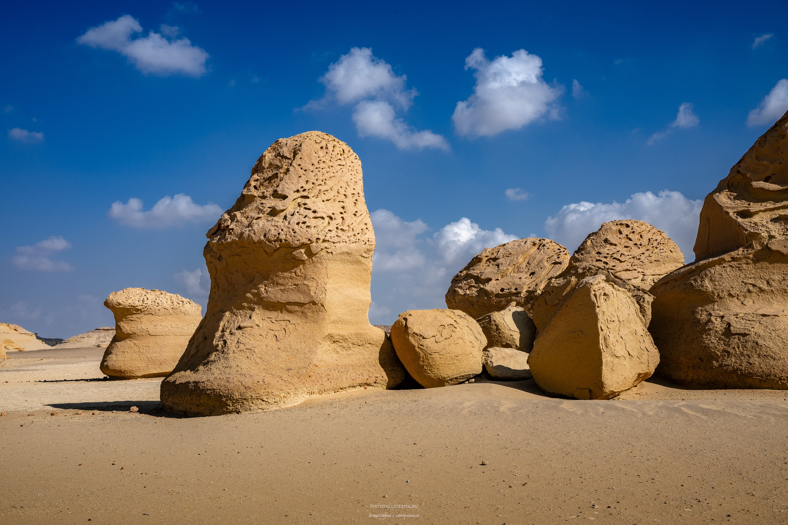 Снова в пустыню, за скелетами…. Авторские стильные фотокартины