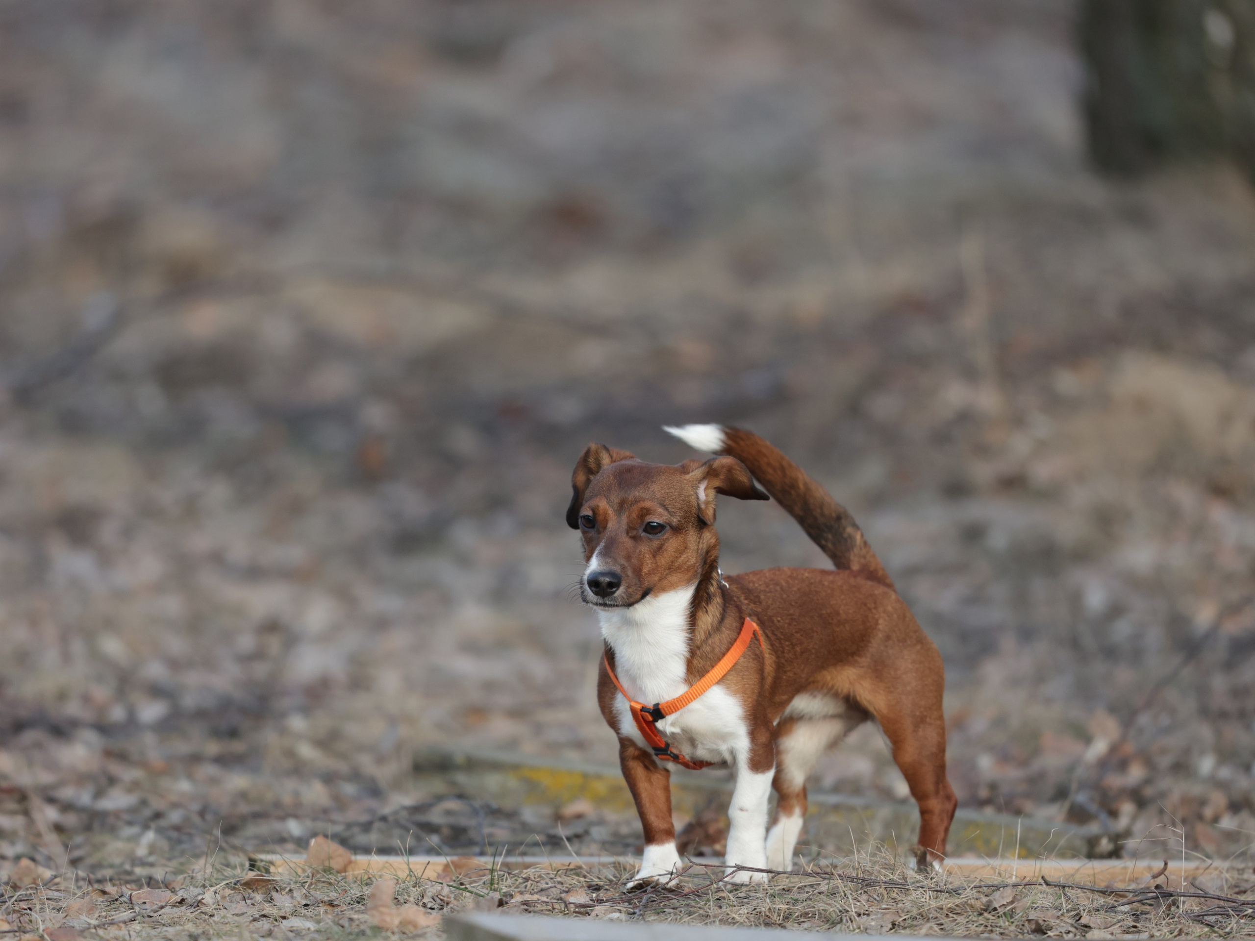 Мия. Фотограф для маркетплейсов, фотоуслуги в Жуковском Татьяна Марсуверских