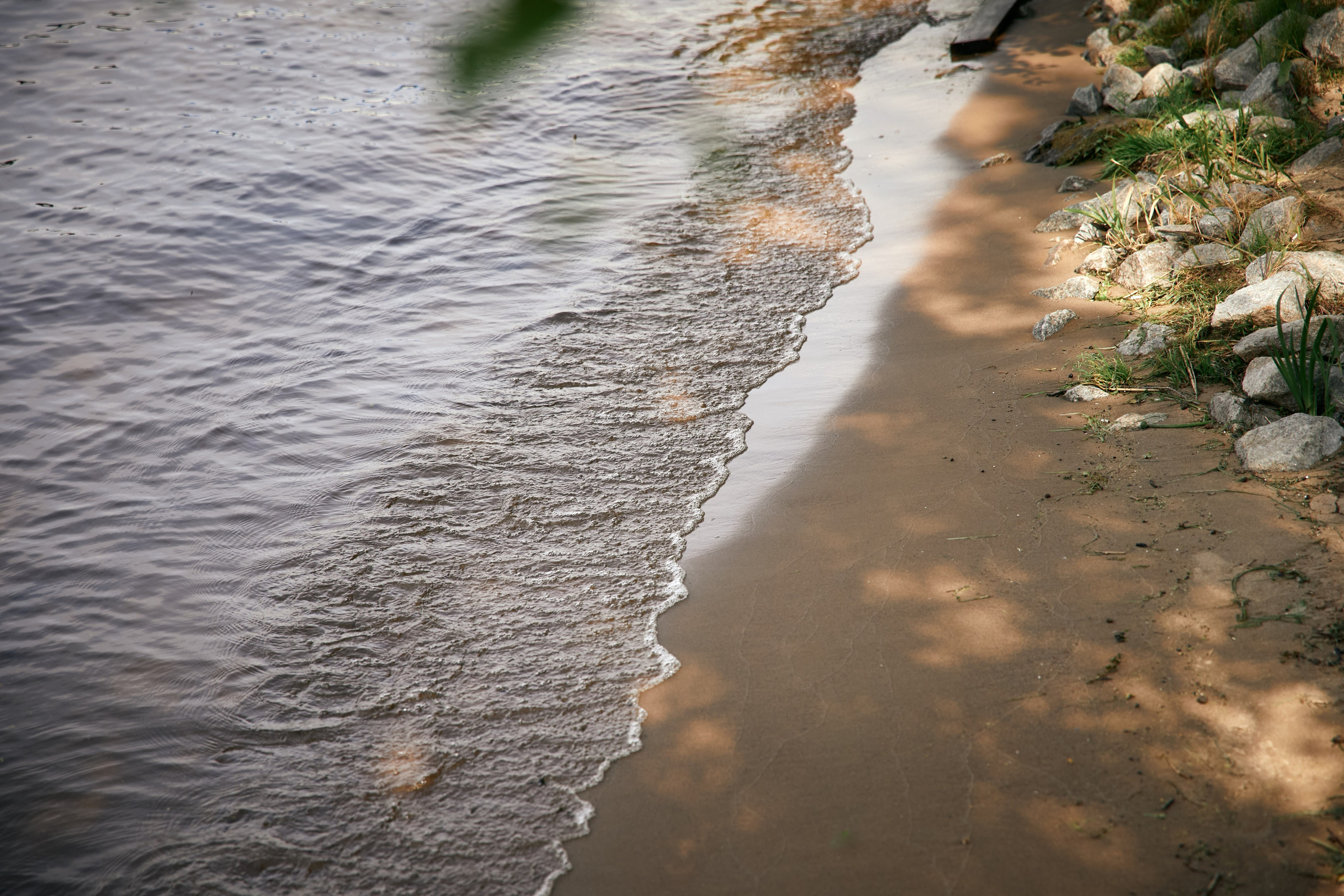 Рома и Ксения. Татьяна Фомичева. Репортажный и светский фотограф в Москве