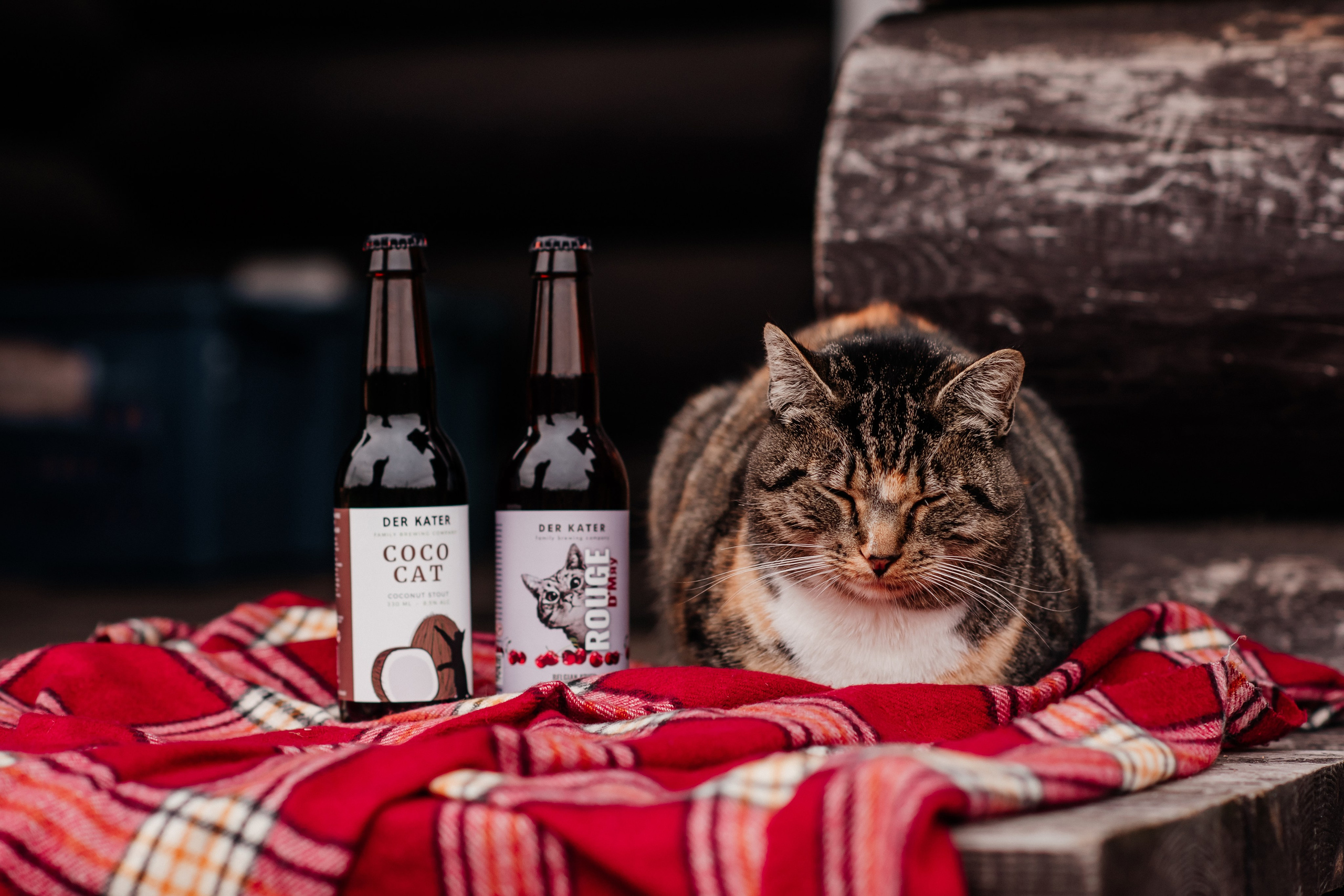 Напитки. Семейный и Свадебный фотограф. Санкт-Петербург. Пушкин