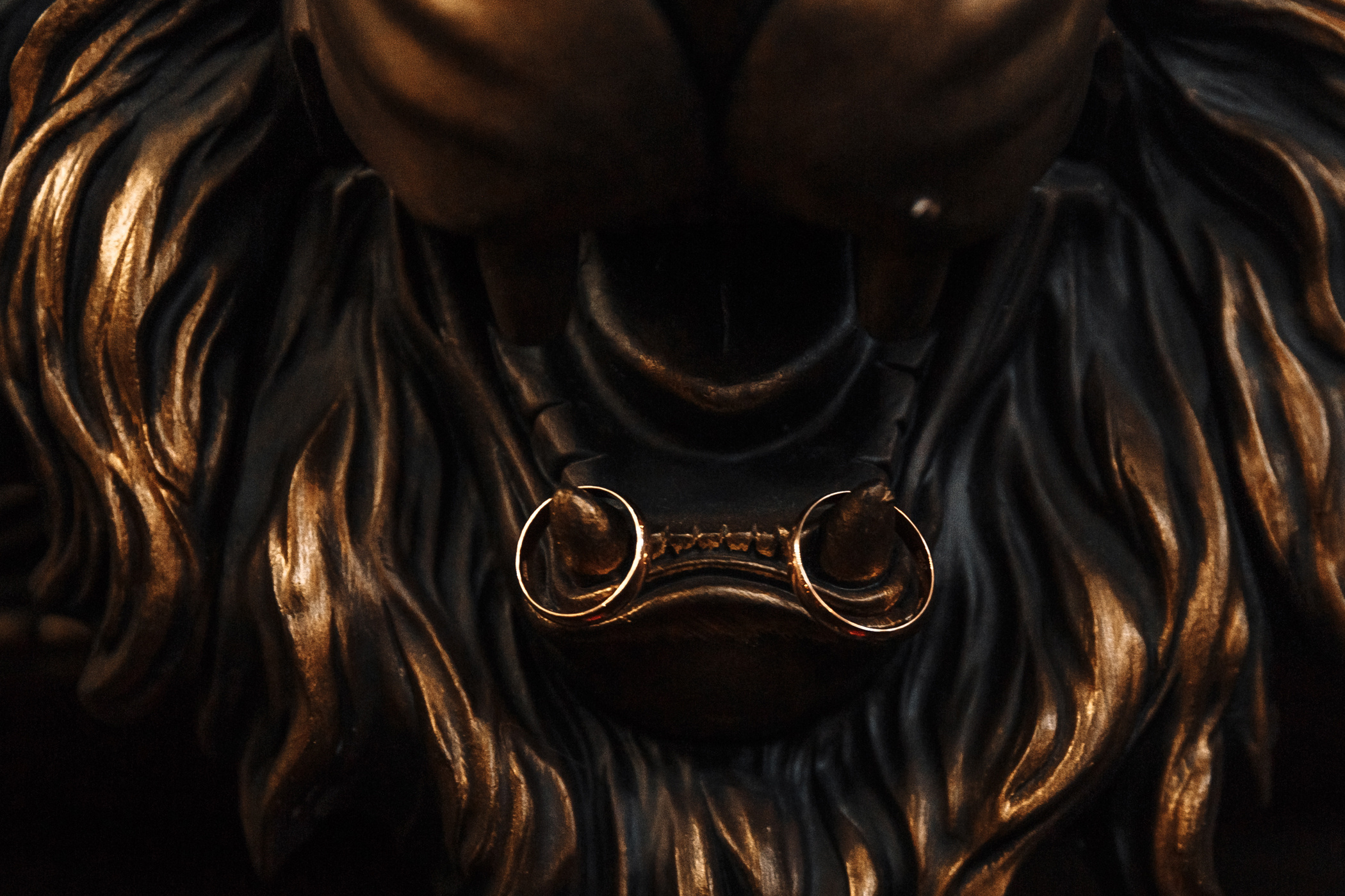 Фотограф Анна Руданова. Даша и Денис