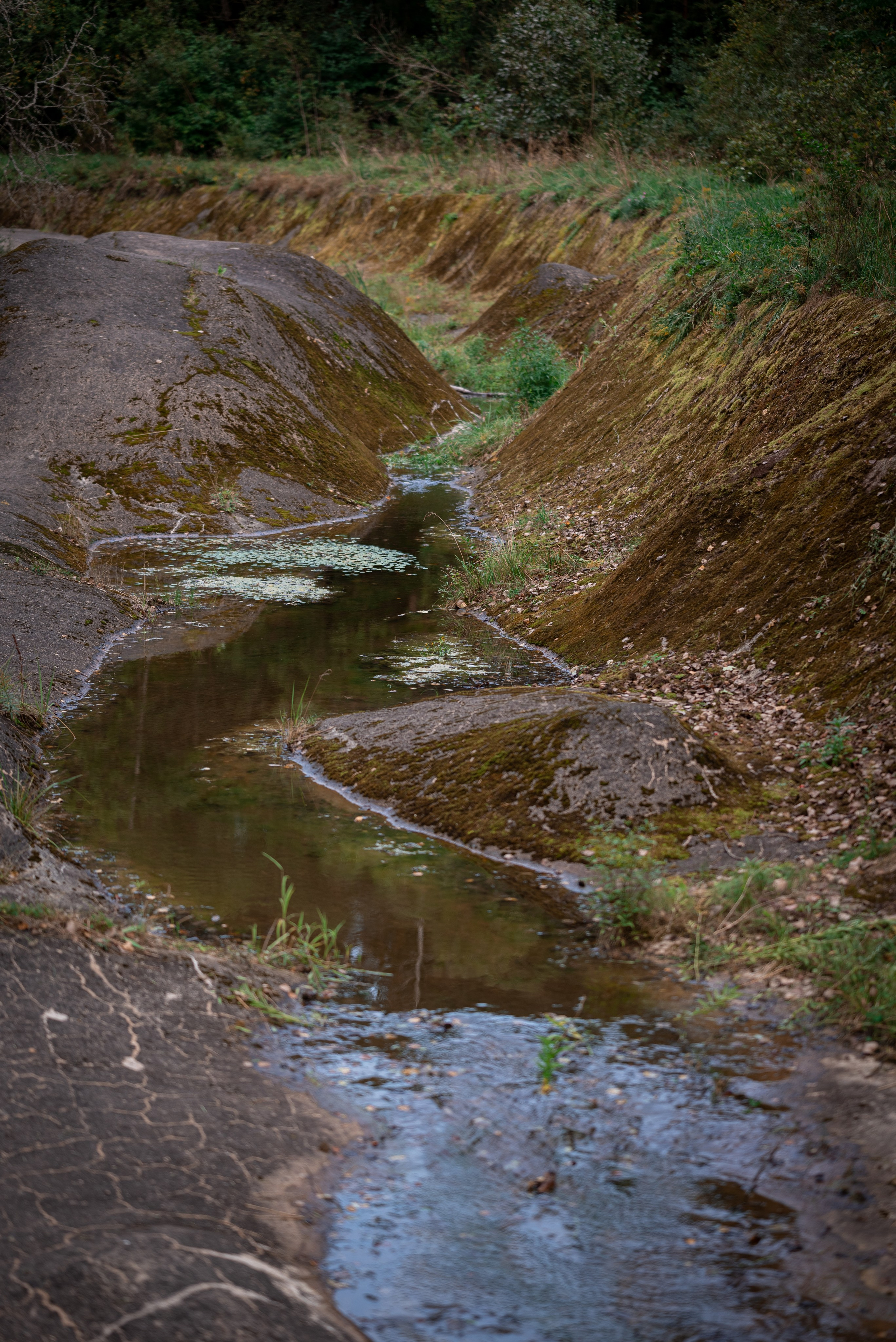 Места. Фотограф в Минске Дарья Кончакова
