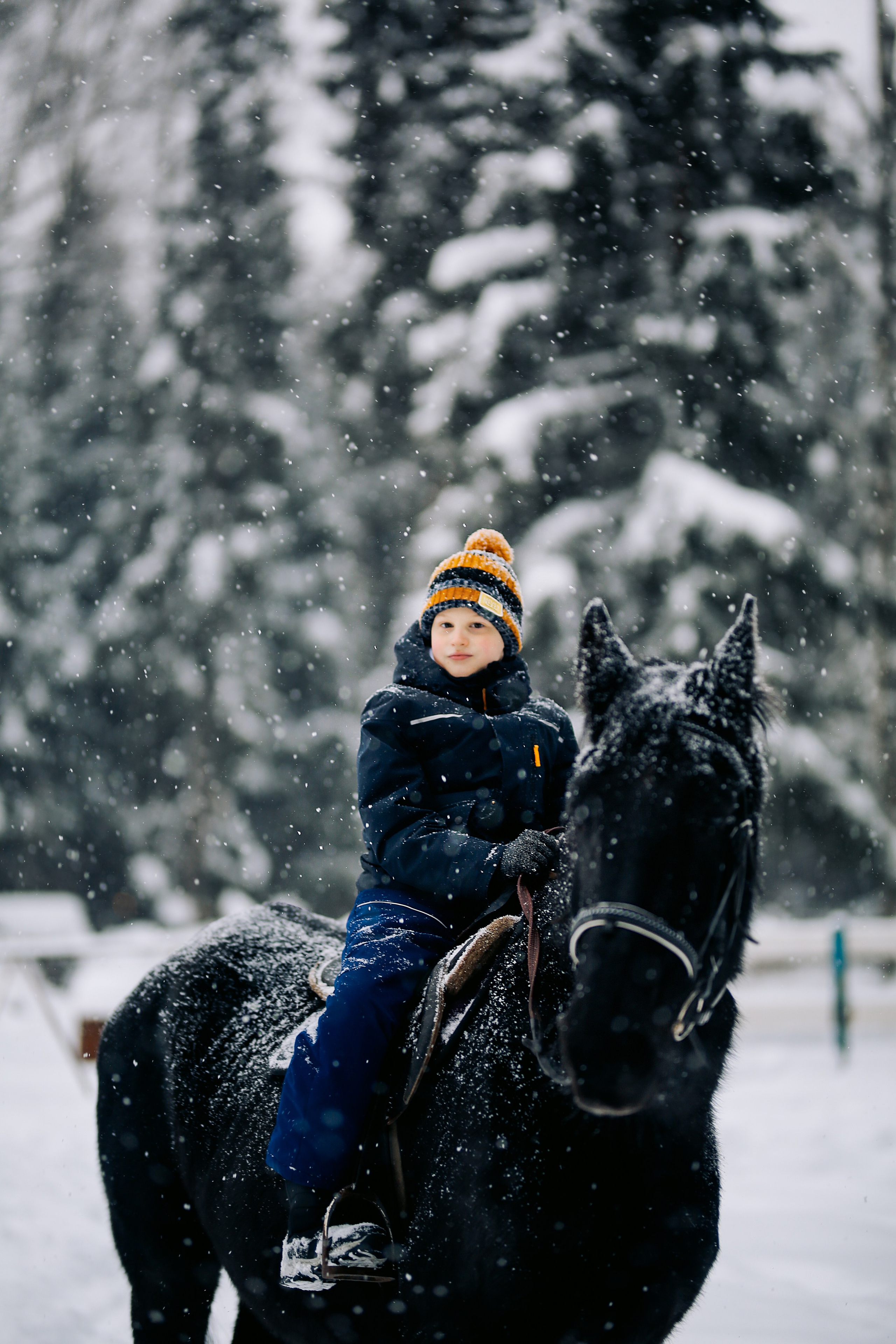 С лошадками. Фотограф Анастасия Залевская