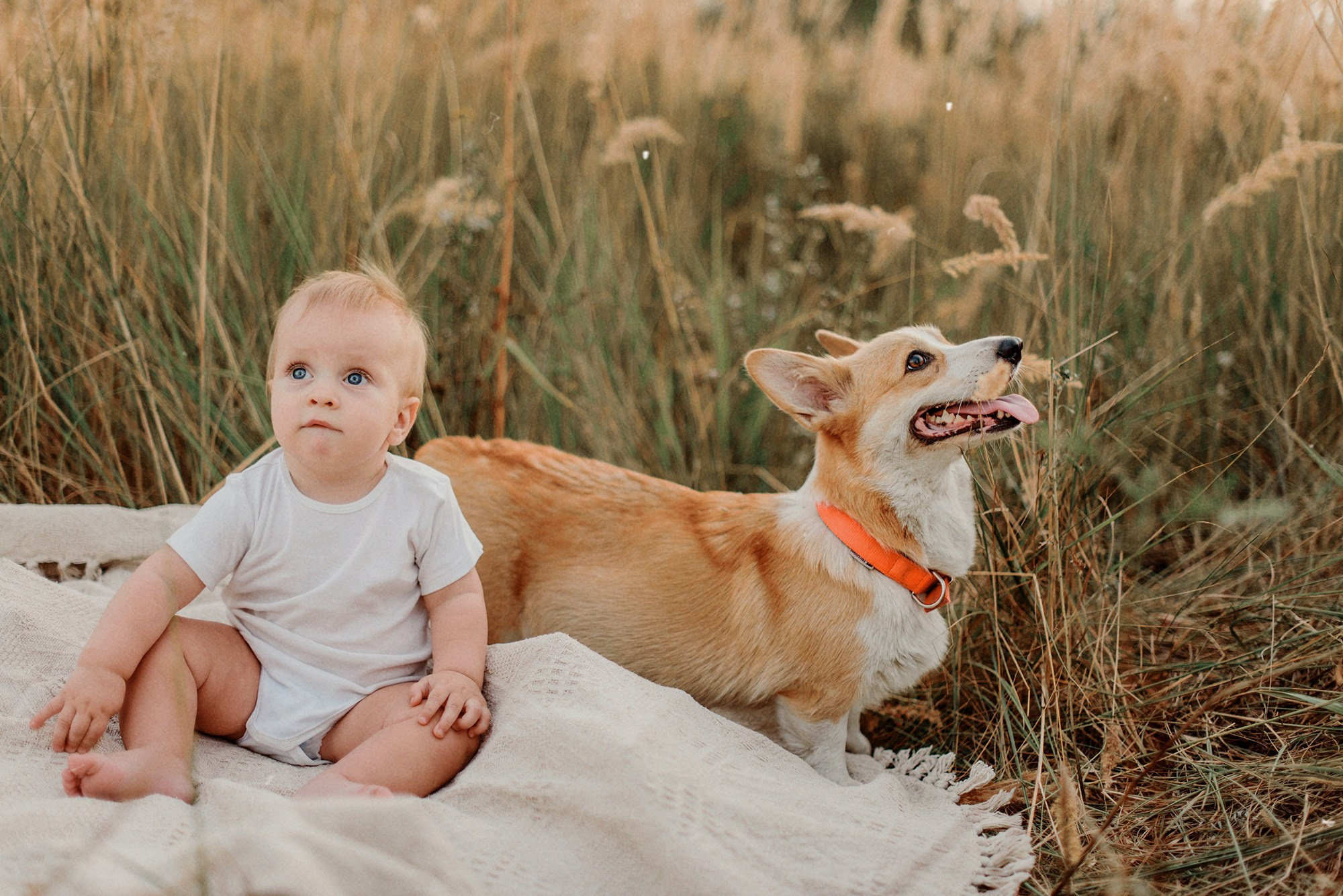 ЖЕНЯ, САША, СЕМЁН и ЛЁВА. Свадебный и семейный фотограф РИТА БОЧКАРЁВА