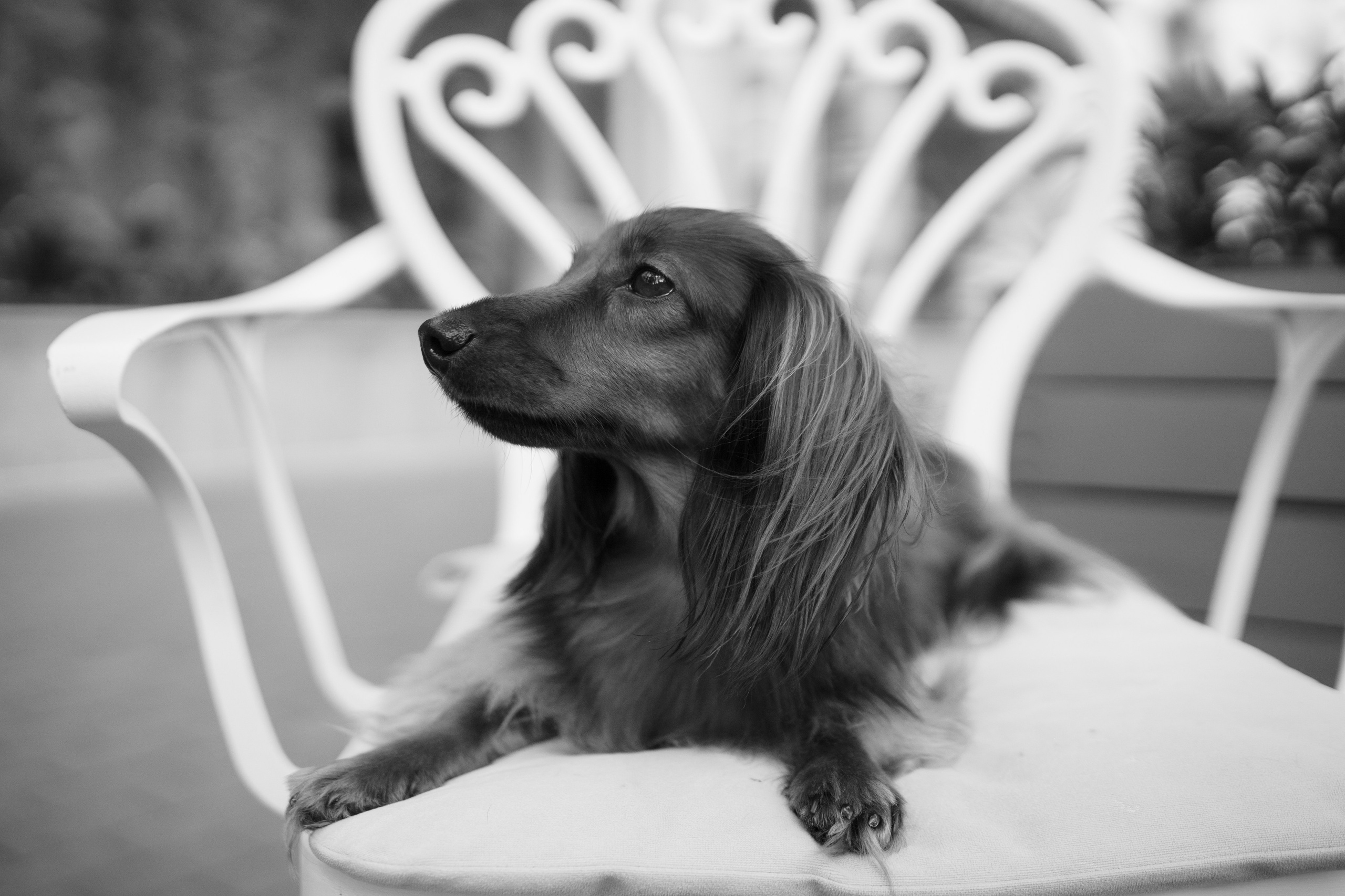 Кофейные истории. Семейный и свадебный фотограф Адыгея Краснодар