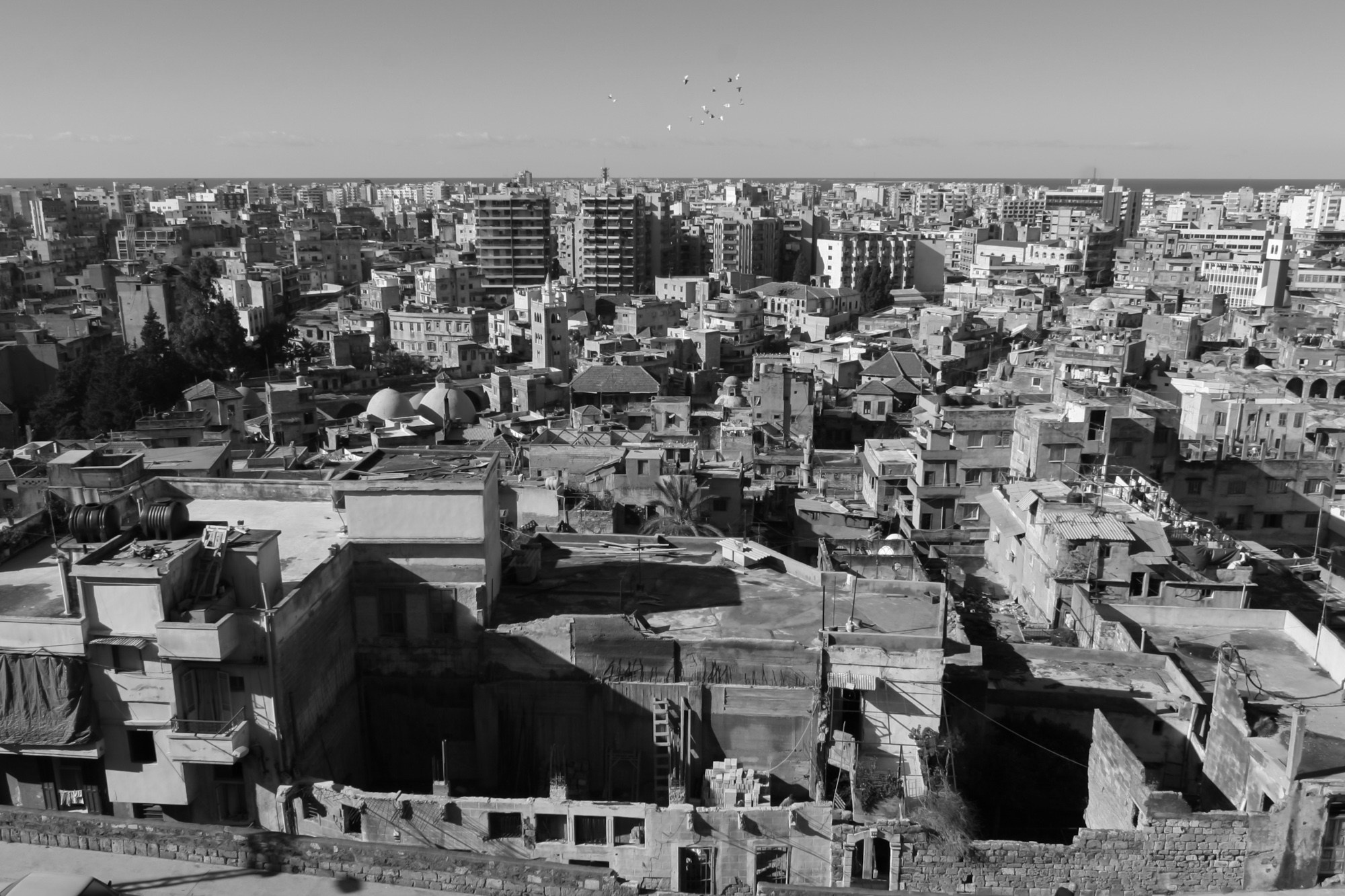 Ливан. Фотограф Алексей Скоробогатько