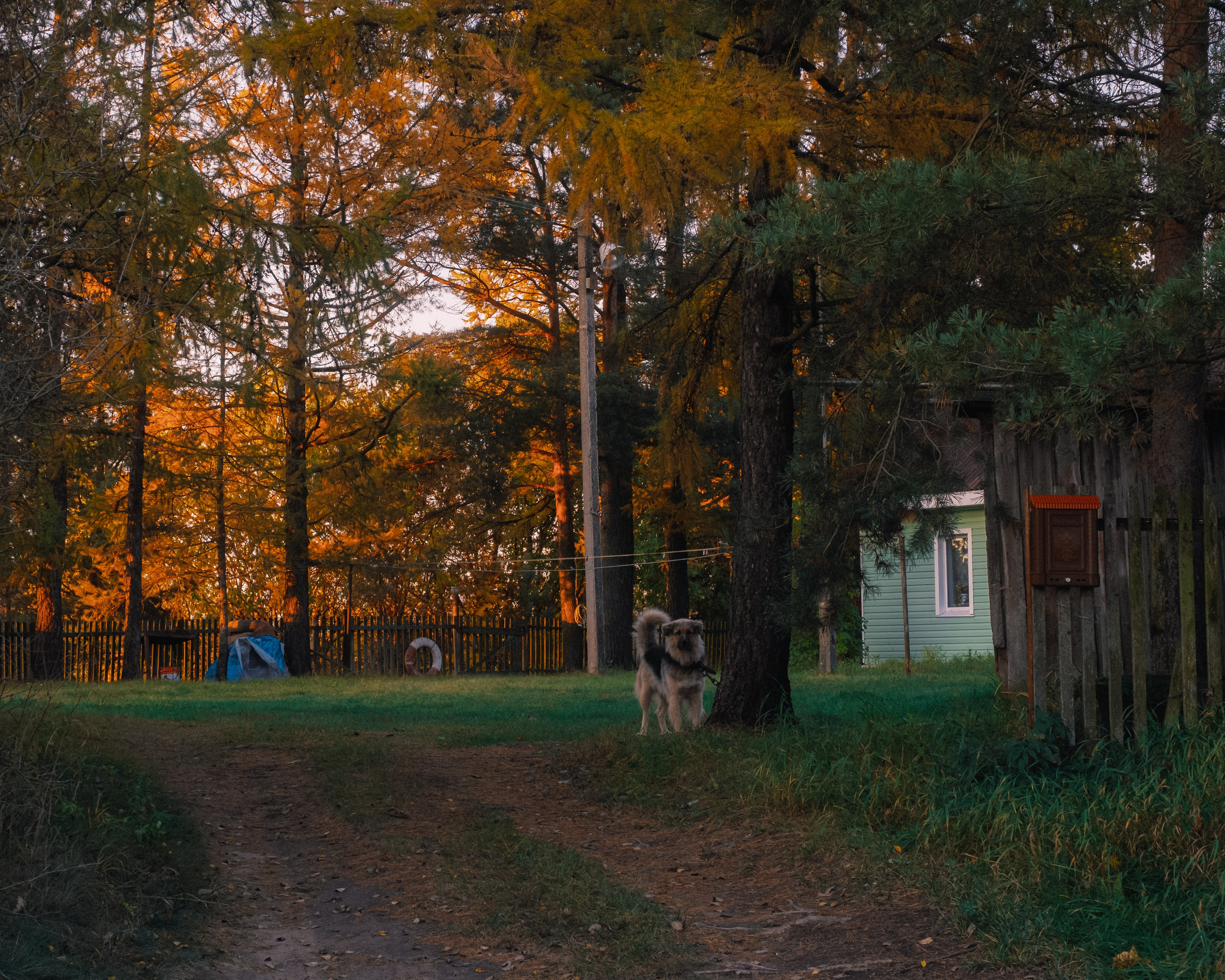 ДР на даче Арины | окт 2024