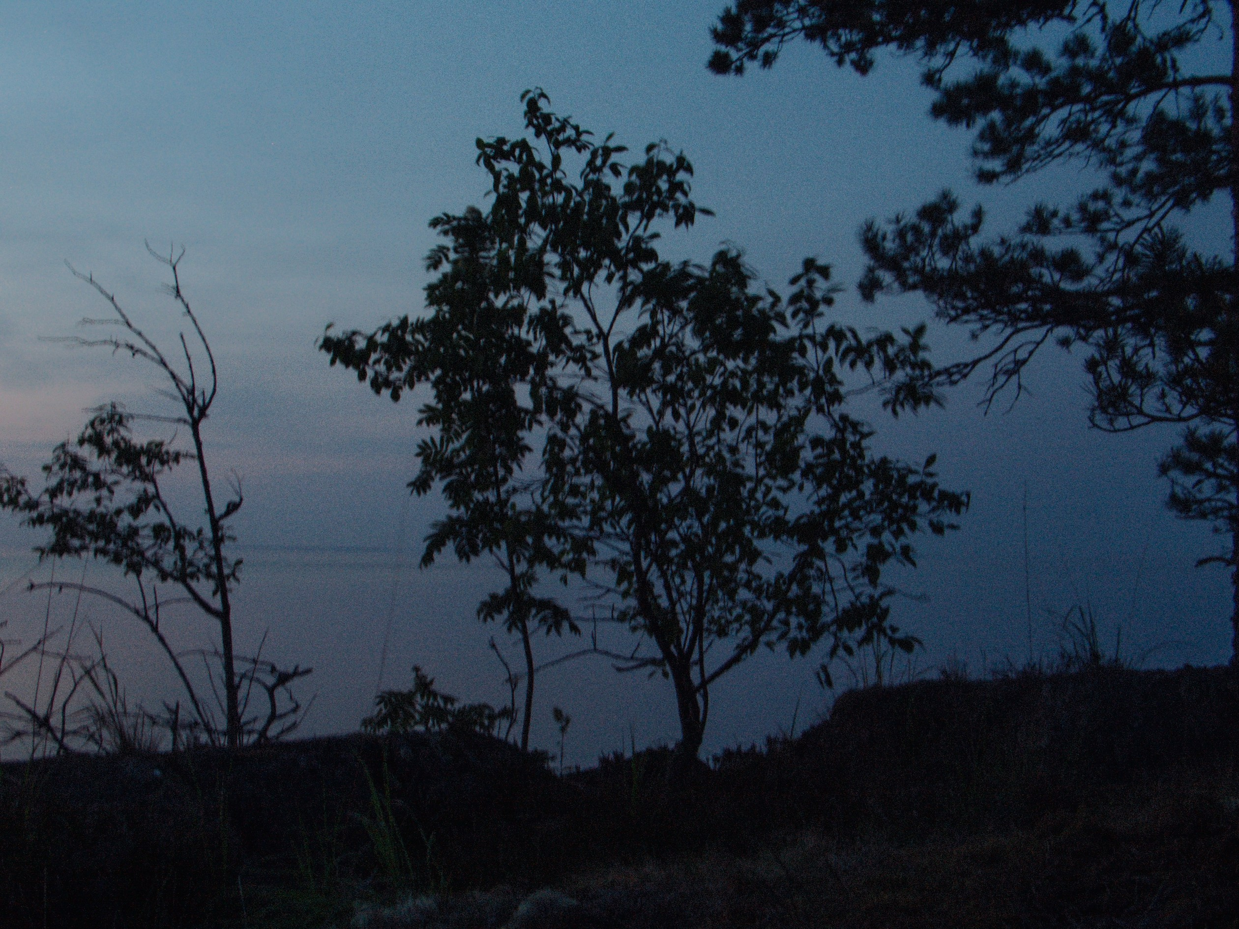 Ладожские шхеры | 2025