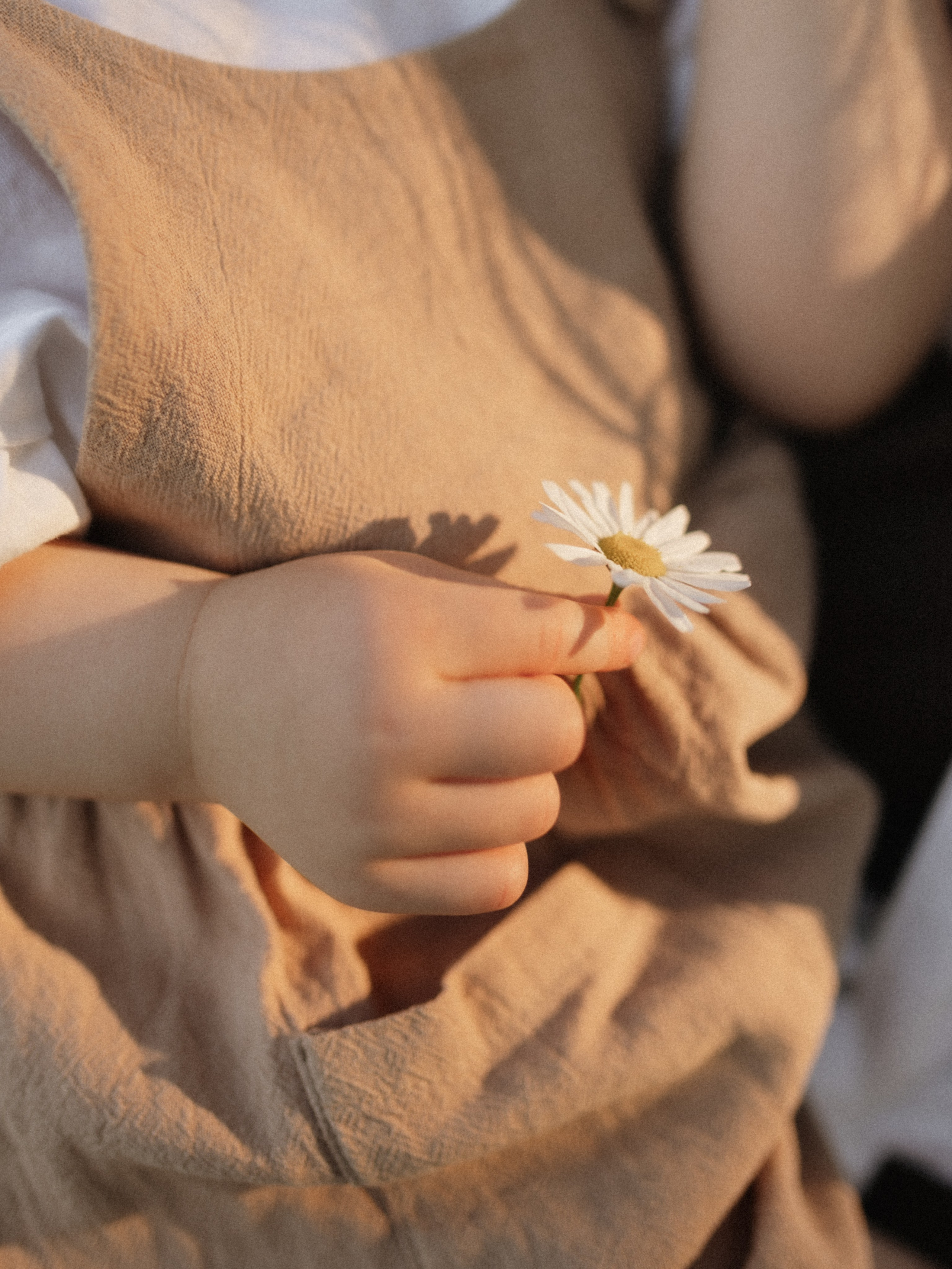 ♡. Фотограф во Владимире, Москве и Суздале-Виктория Чистякова
