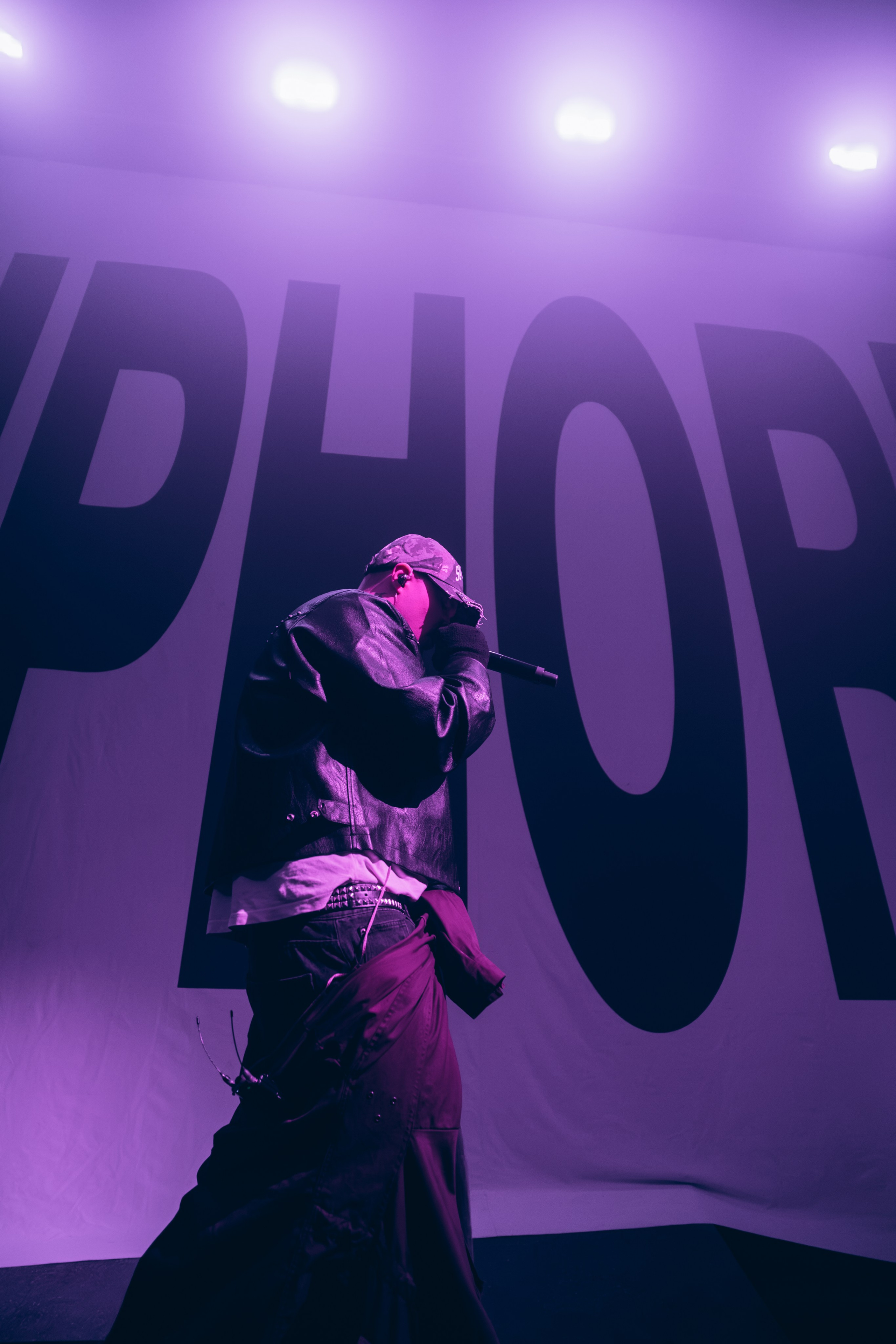 SALUKI. Фотограф Санкт-Петербурга