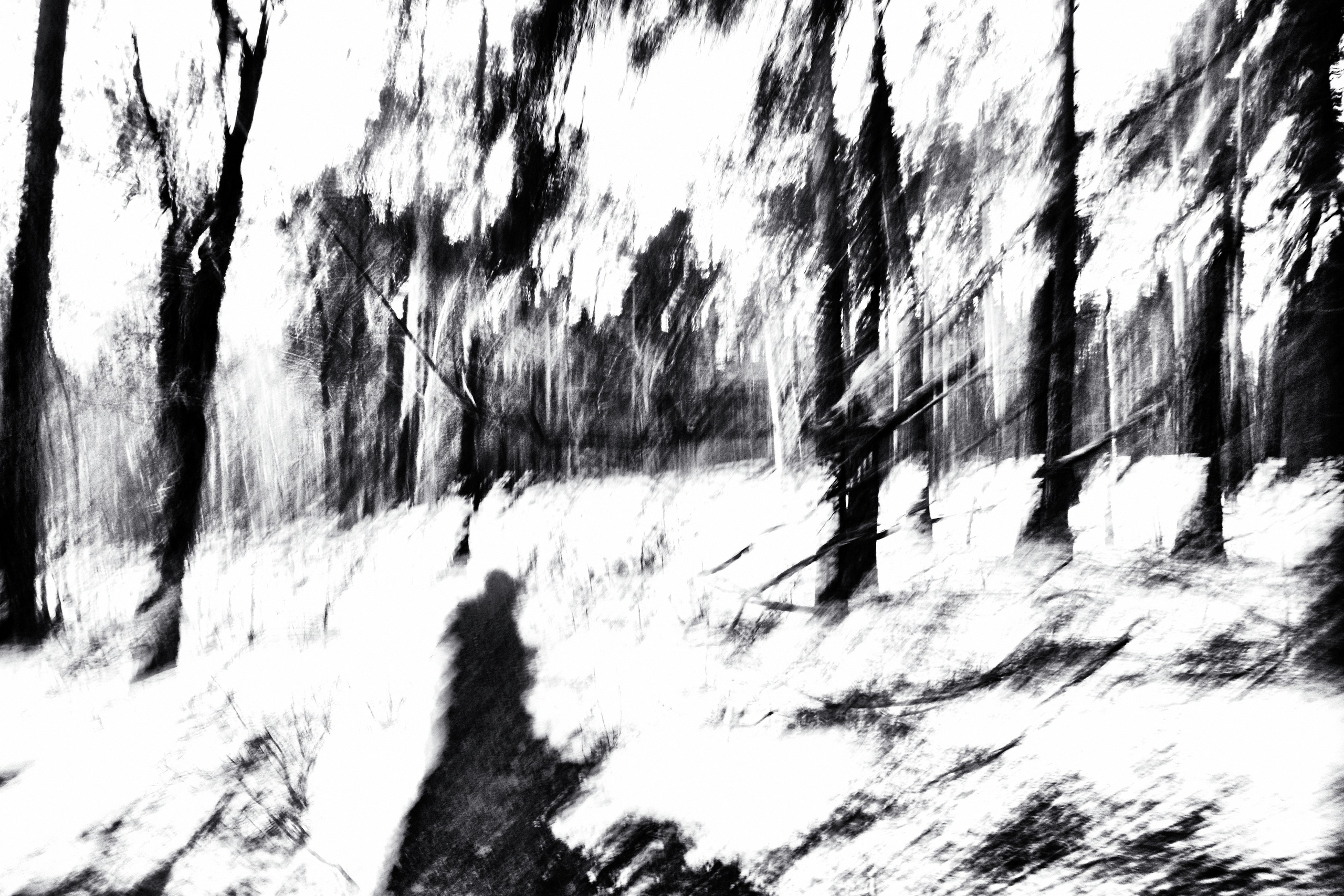 ЧБ  пейзажи (BnW landscape). Фотограф (photographer) Lischinski Vitaliy