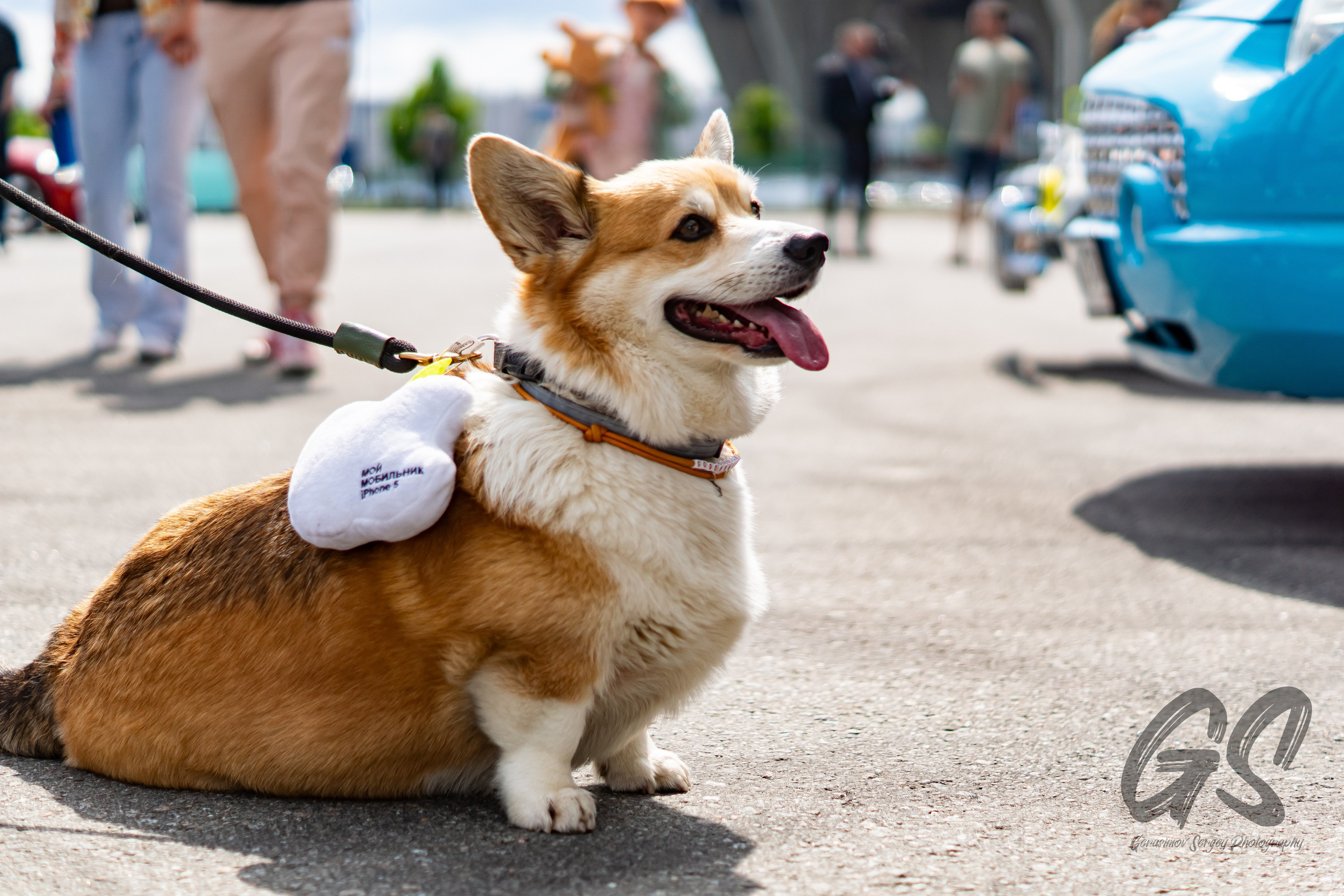 Мероприятия. GS.Media