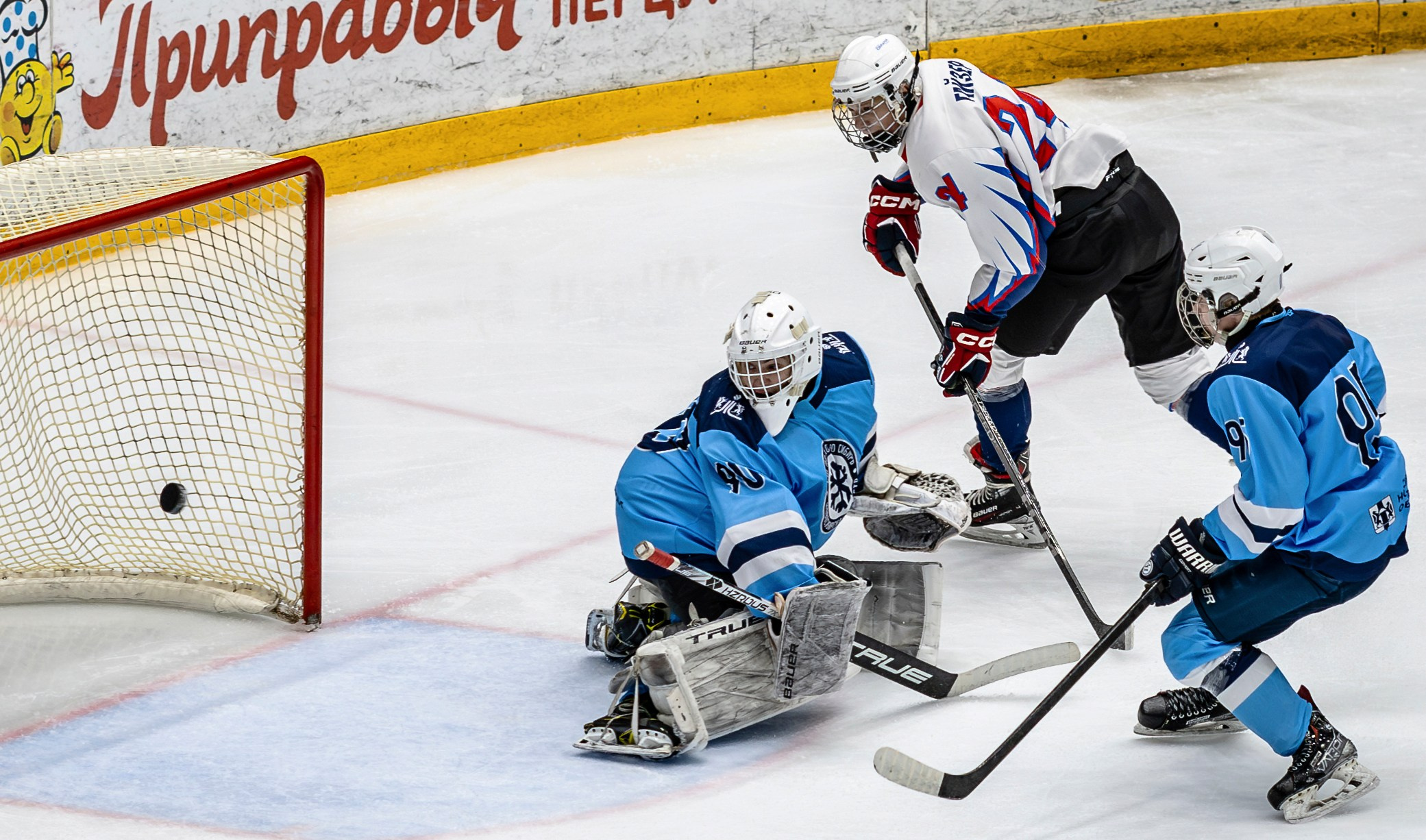 Сибирь (ЮХЛ). Bertran Ordo