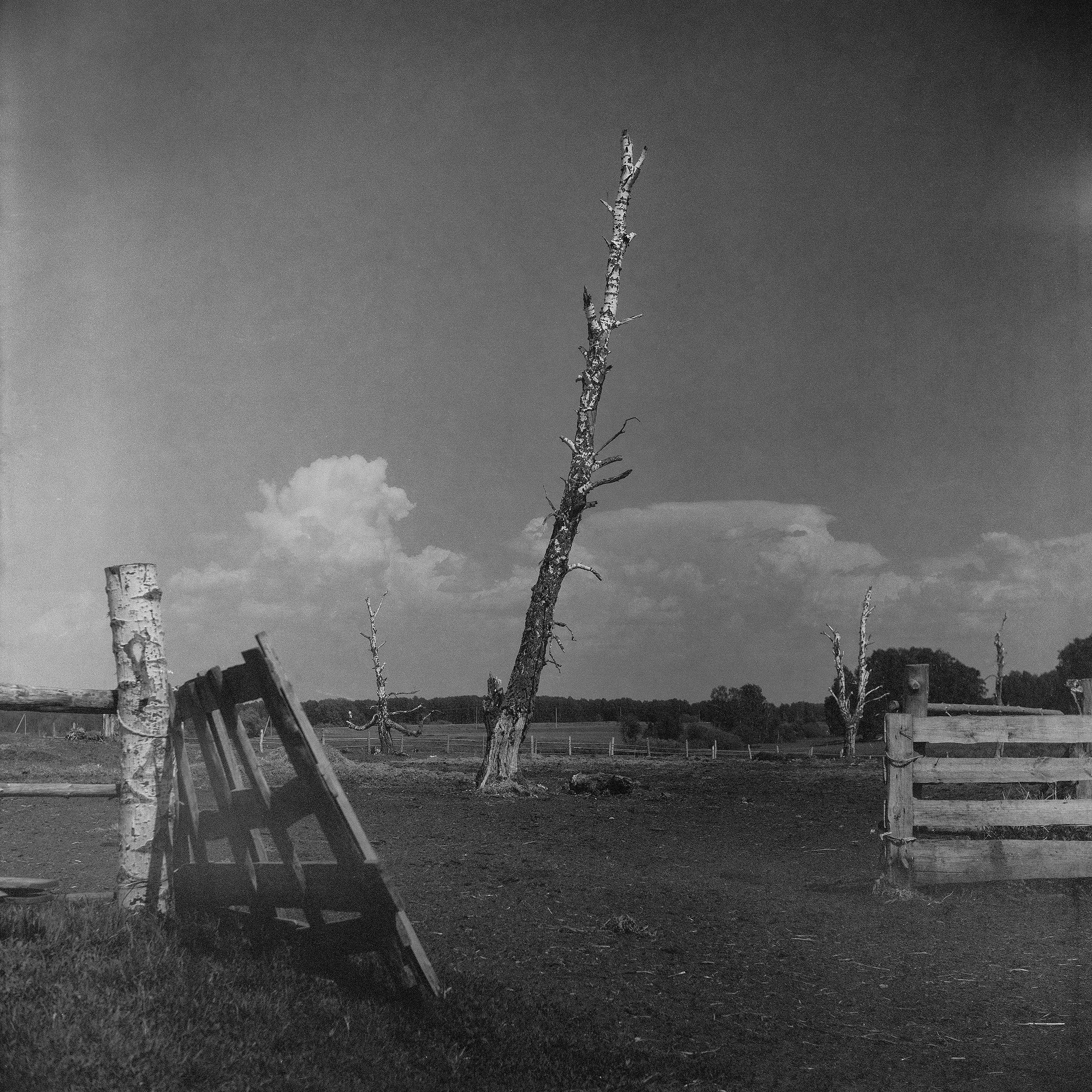 Street-photo города Новосибирск. Портретный и репортажный фотограф. Мыльников Илья