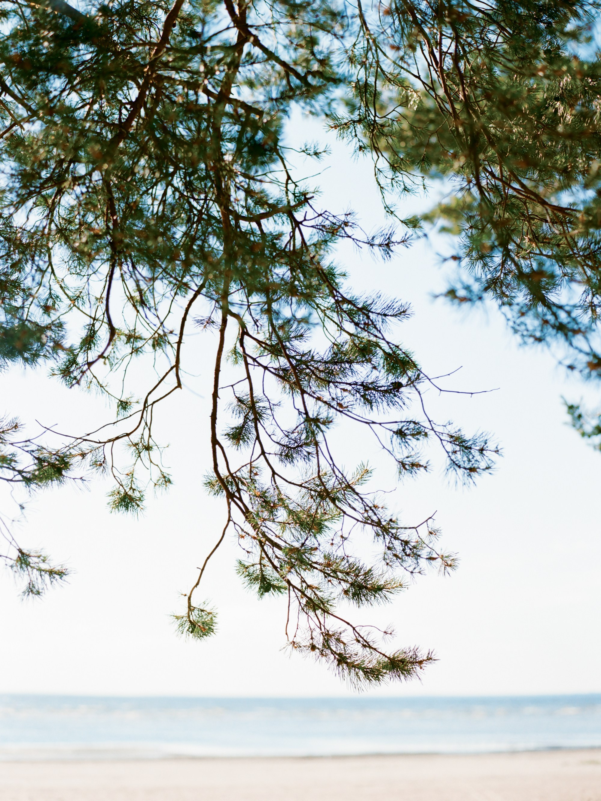 Ксения и Алексей, свадьба на Финском заливе. Изящная фотография | Ксения Милушкина