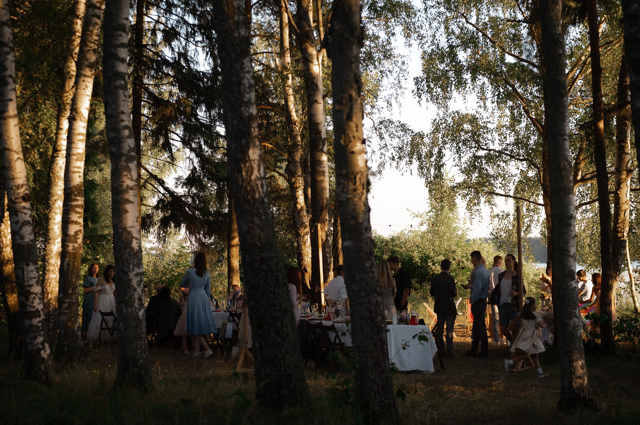 Камерный свадебный ужин в березовой роще. Афина Ефимова. Свадебный фотограф Москва