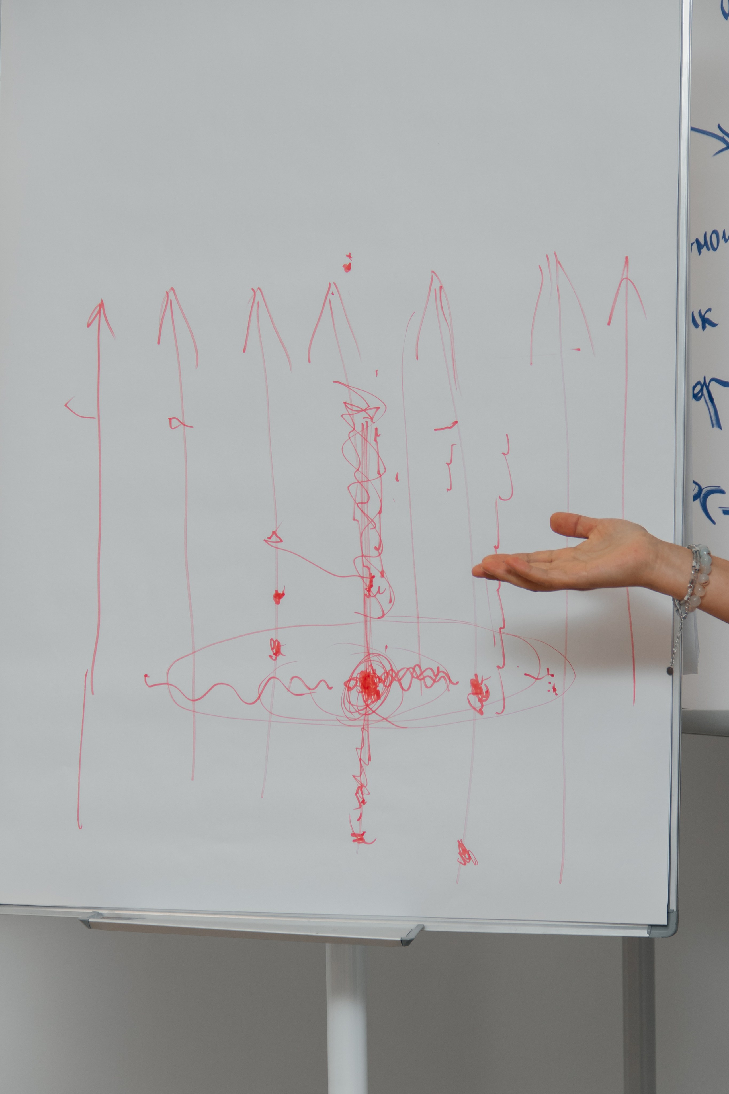 Тренинг Марии Федосеевой. Наталия Фролова. Фотограф. Москва