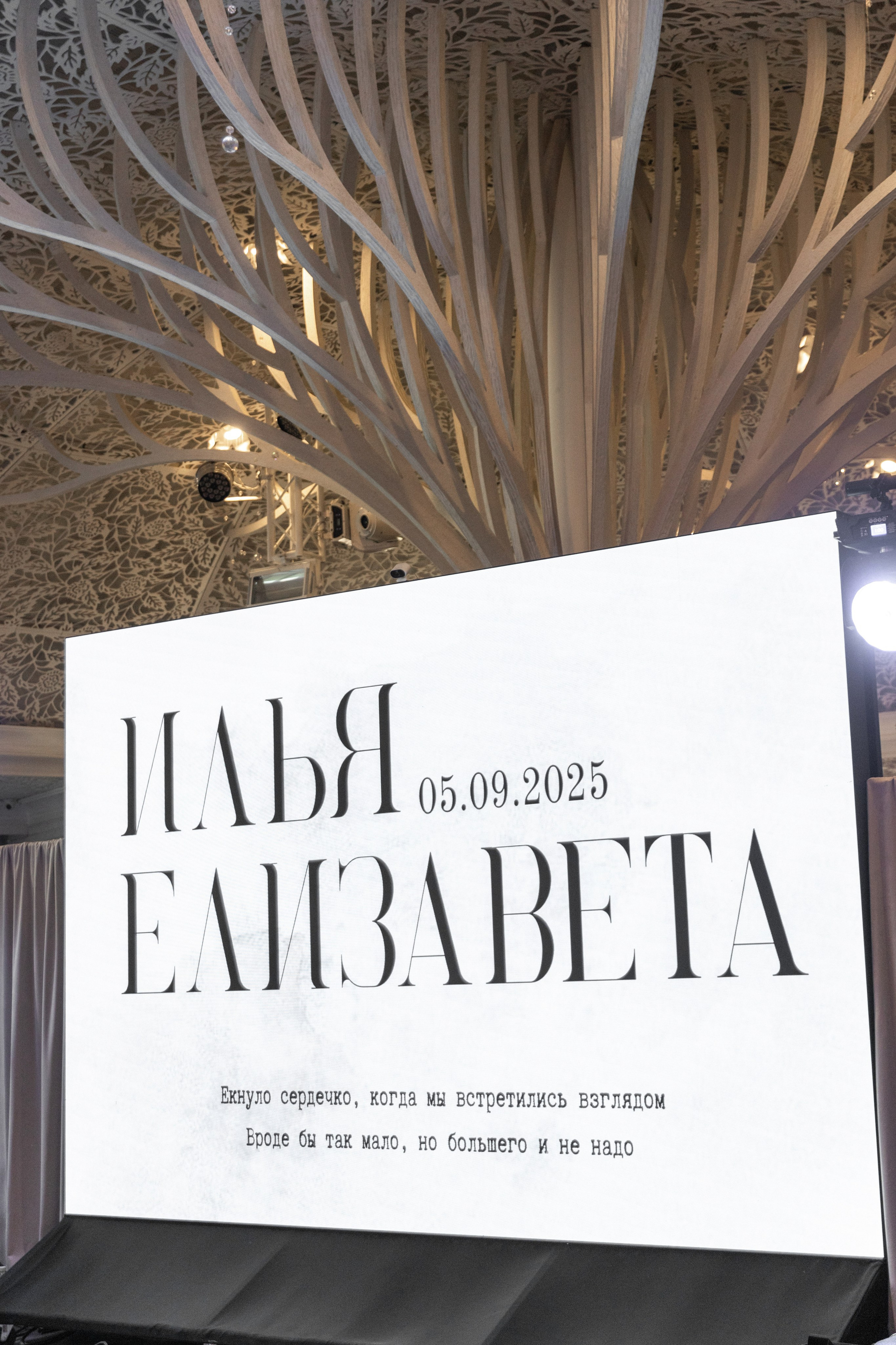 Елизавета & Илья. Свадебный и портретный фотограф в Воронеже Алфёрова Оксана