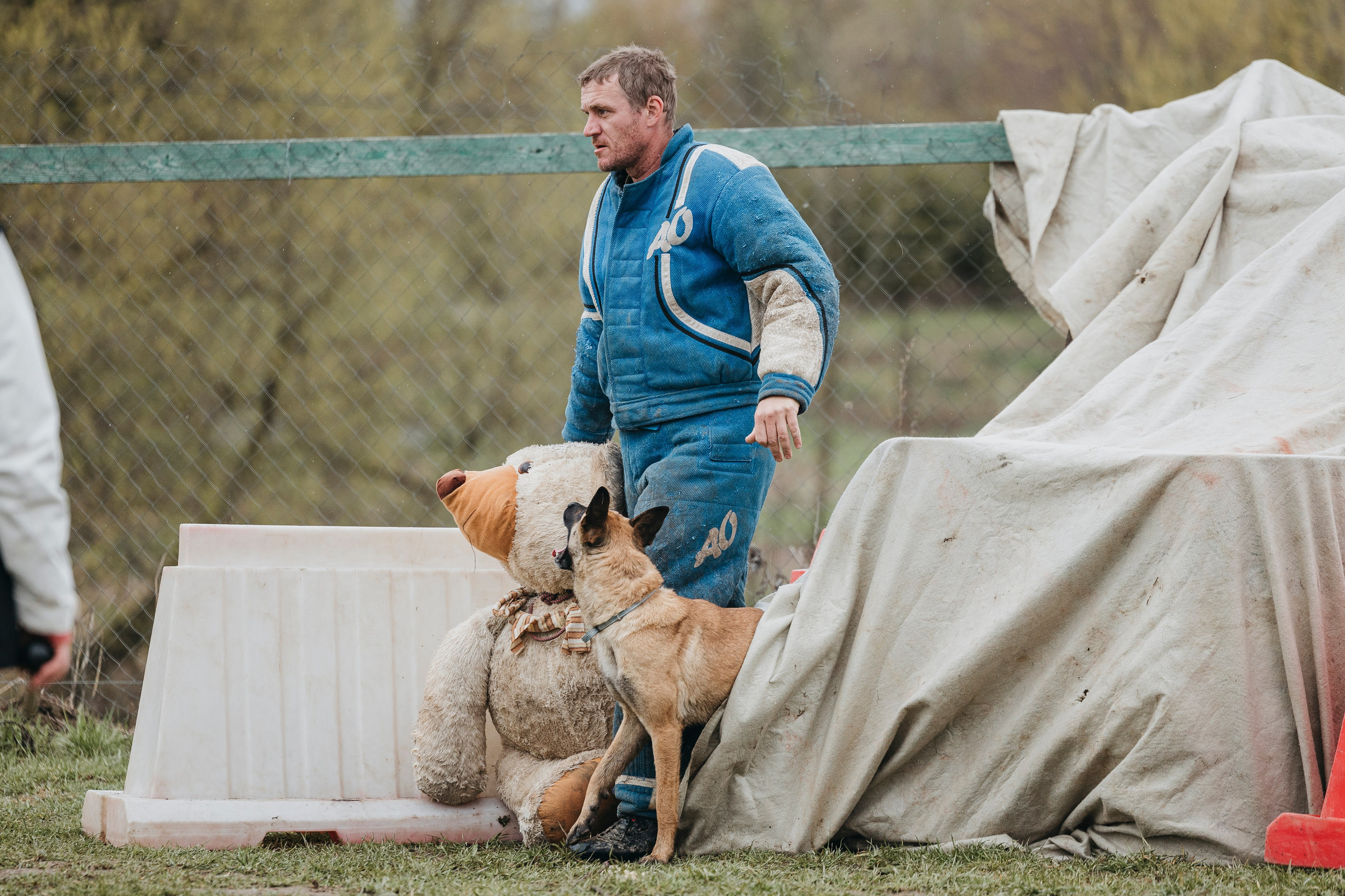 09.05.25 Вологда соревнования. Фотограф-анималист Анна Маринич