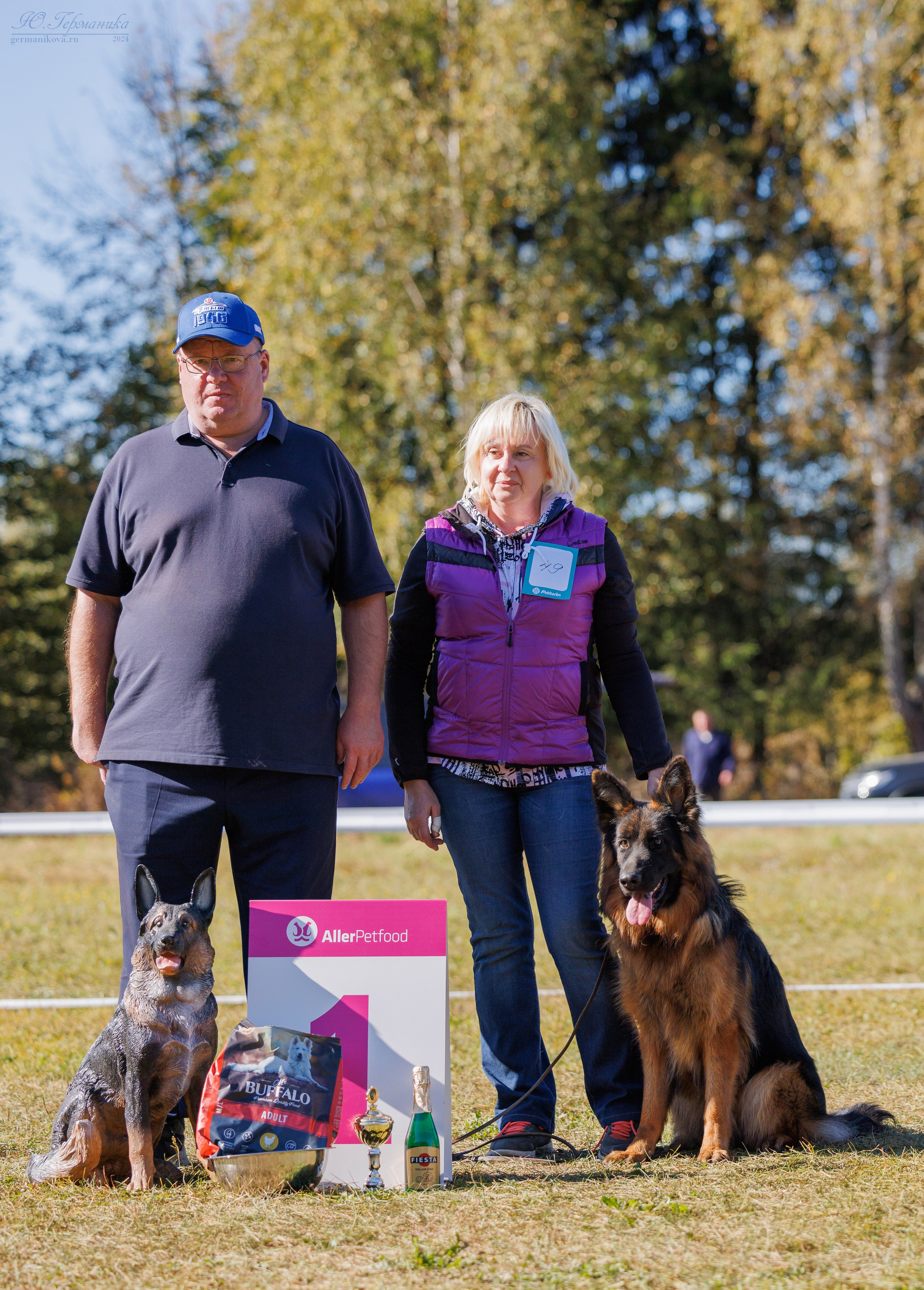 Тверь немецкие овчарки 22.09.2024. Фотограф-анималист Юлия Германика