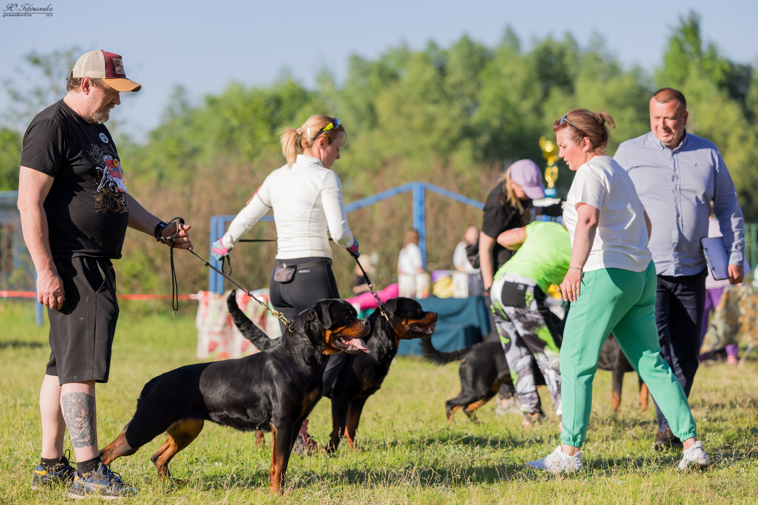 Воронеж моно ротвейлеров 25-26.05.2024. Фотограф-анималист Юлия Германика