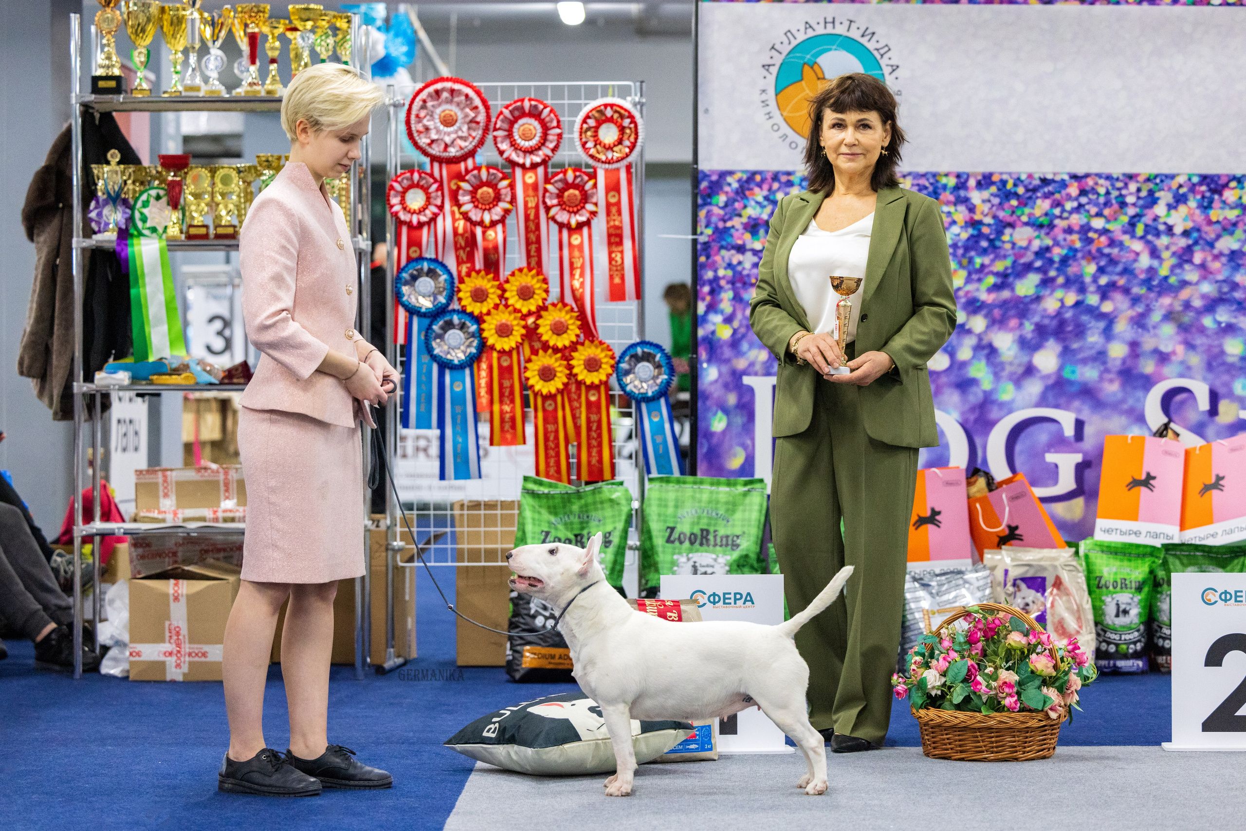 Сфера 28.01. и 4.02.2024. Фотограф-анималист Юлия Германика