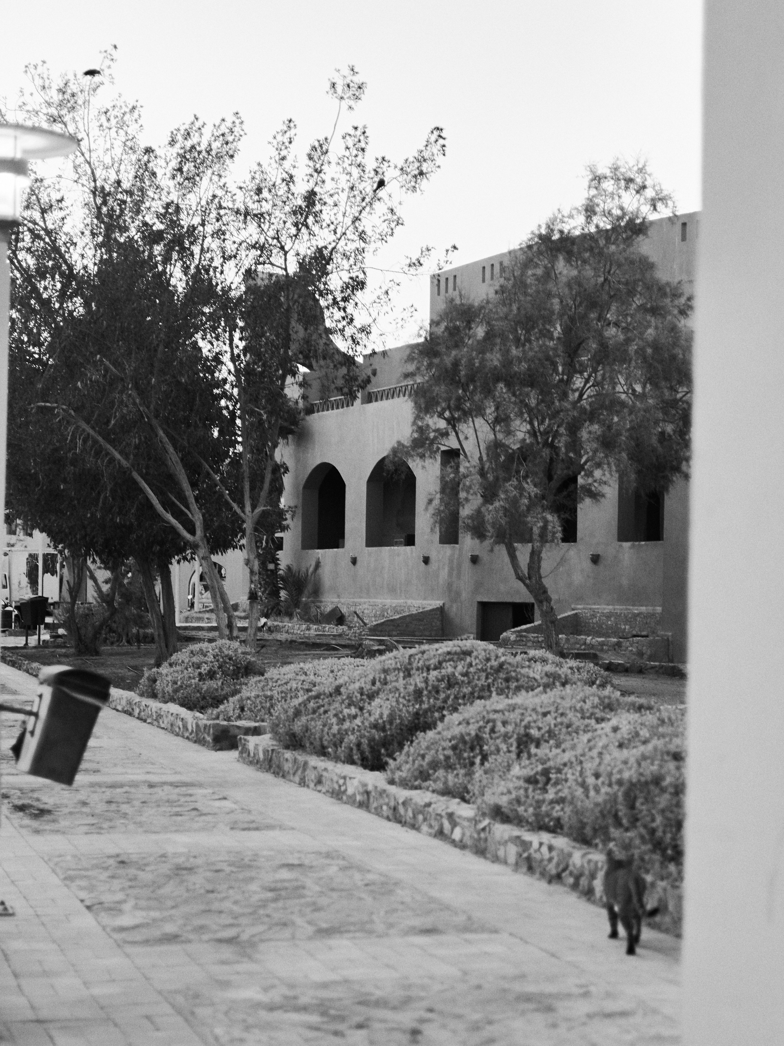 B&W. Jorgis — фотограф в Хургаде / обучение фотографии