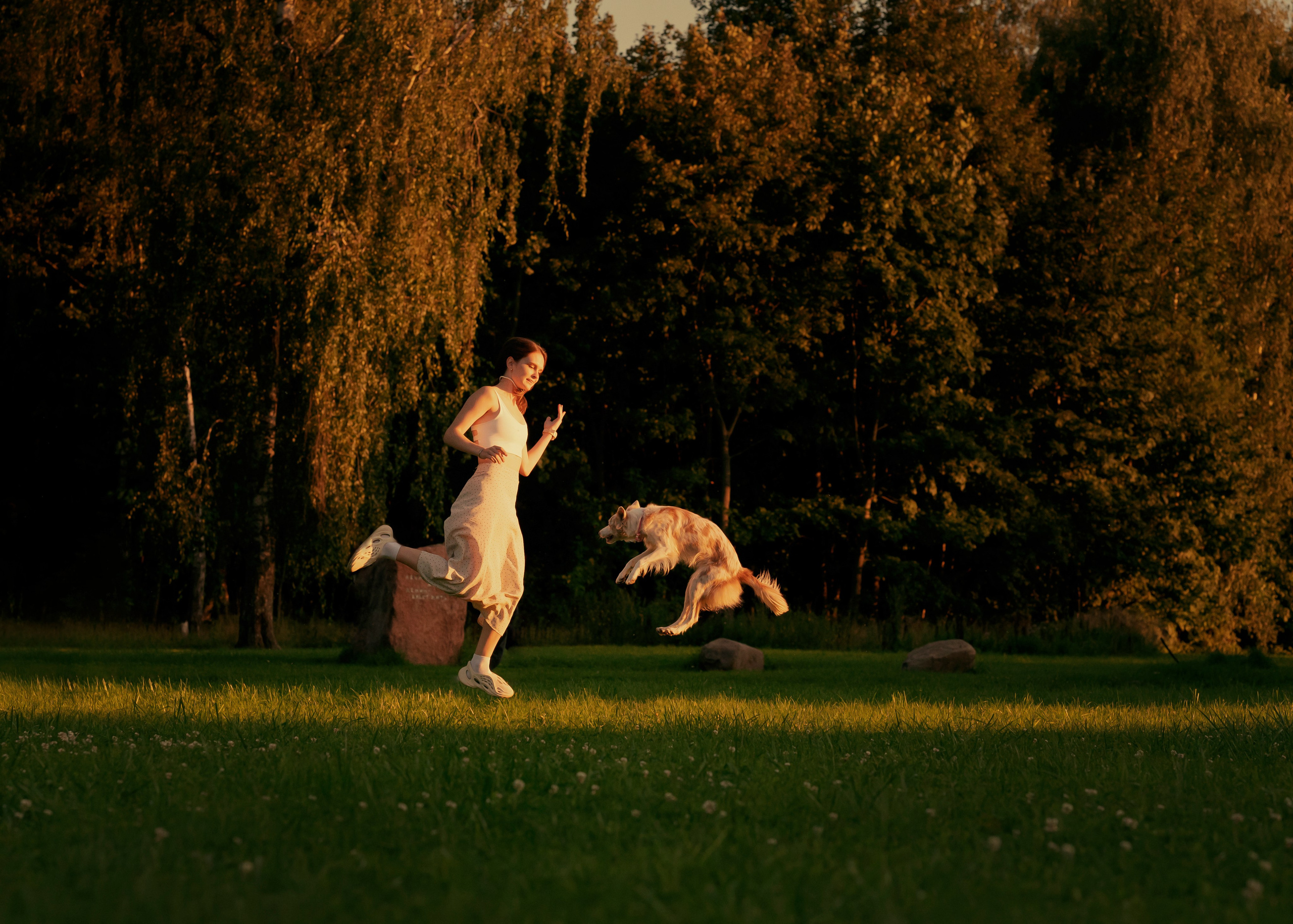 Вэй. Фотограф- анималист Александра Матвеева