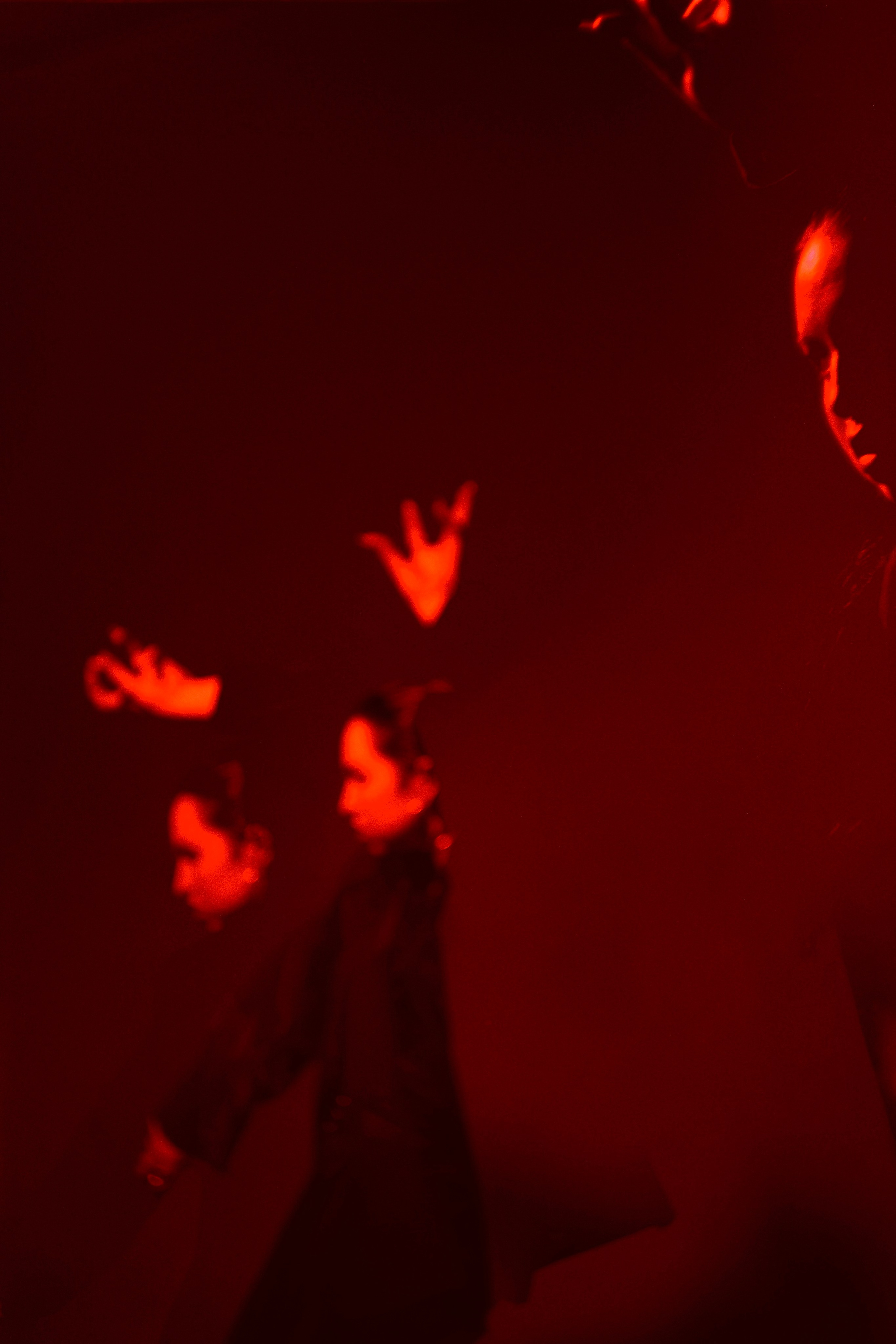 СЕРГЕЙ ИЛЬЧУК. СУЩНОСТНАЯ ФОТОГРАФИЯ