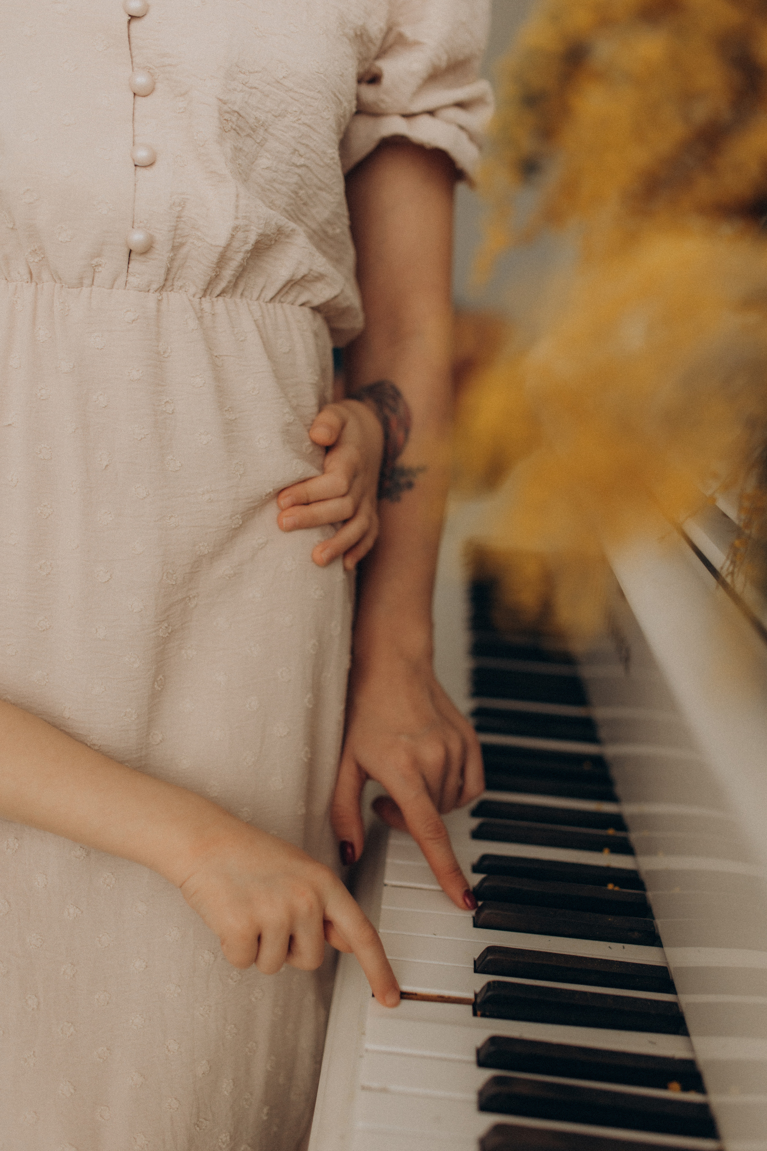 Мимоз благоухания. Фотограф в Санкт-Петербурге Ольга Гиляревская