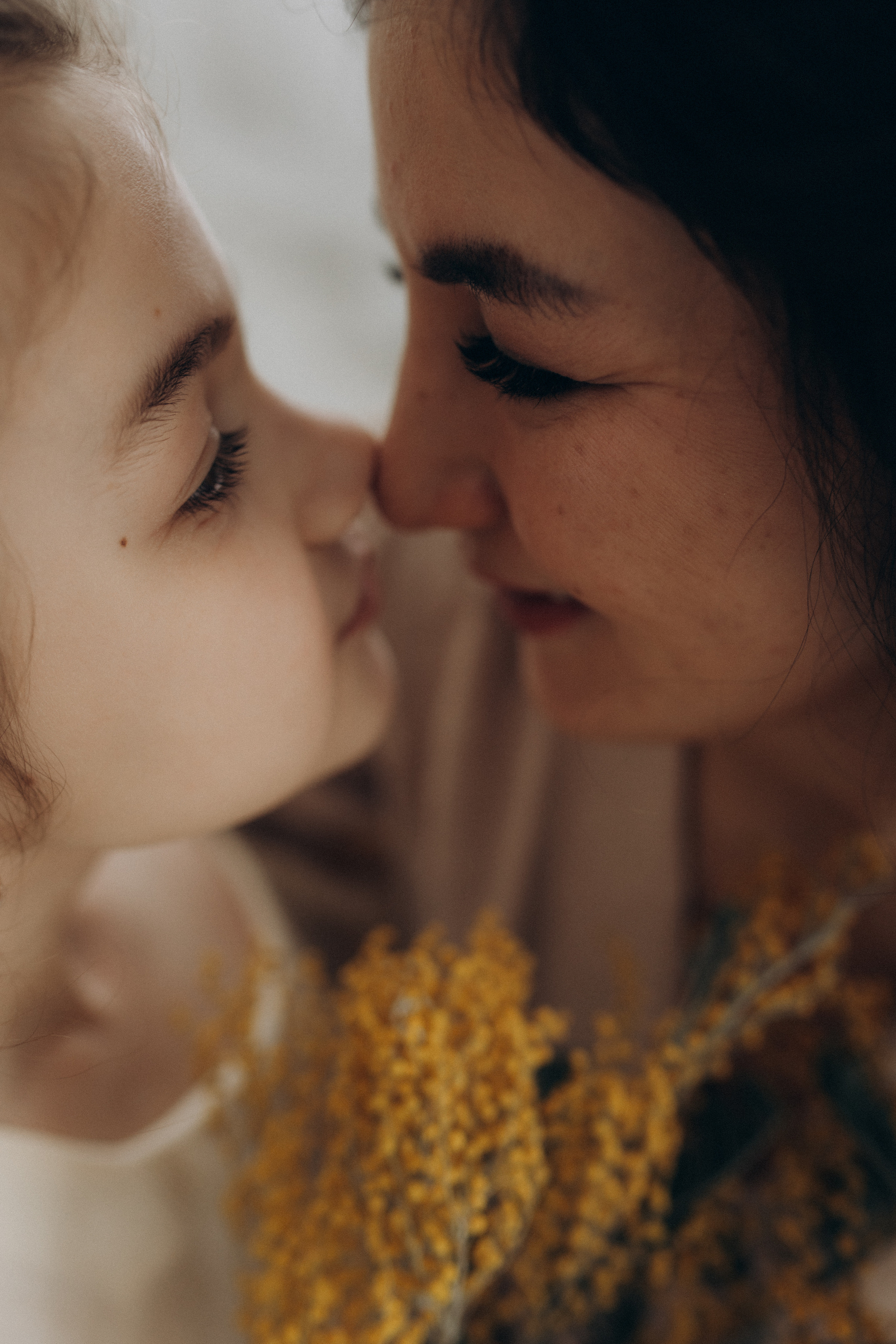 Мимоз благоухания. Фотограф в Санкт-Петербурге Ольга Гиляревская