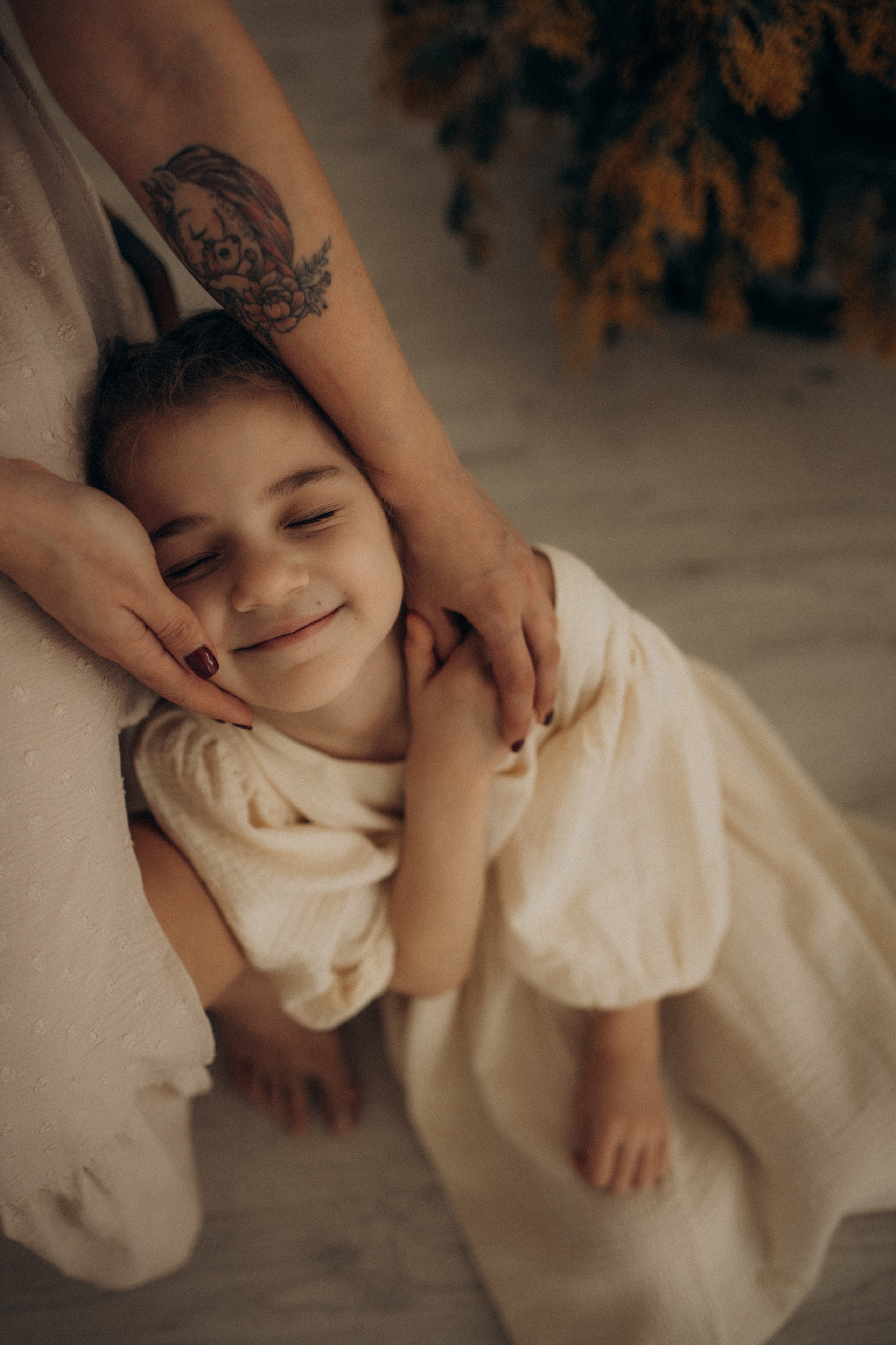 Мимоз благоухания. Фотограф в Санкт-Петербурге Ольга Гиляревская