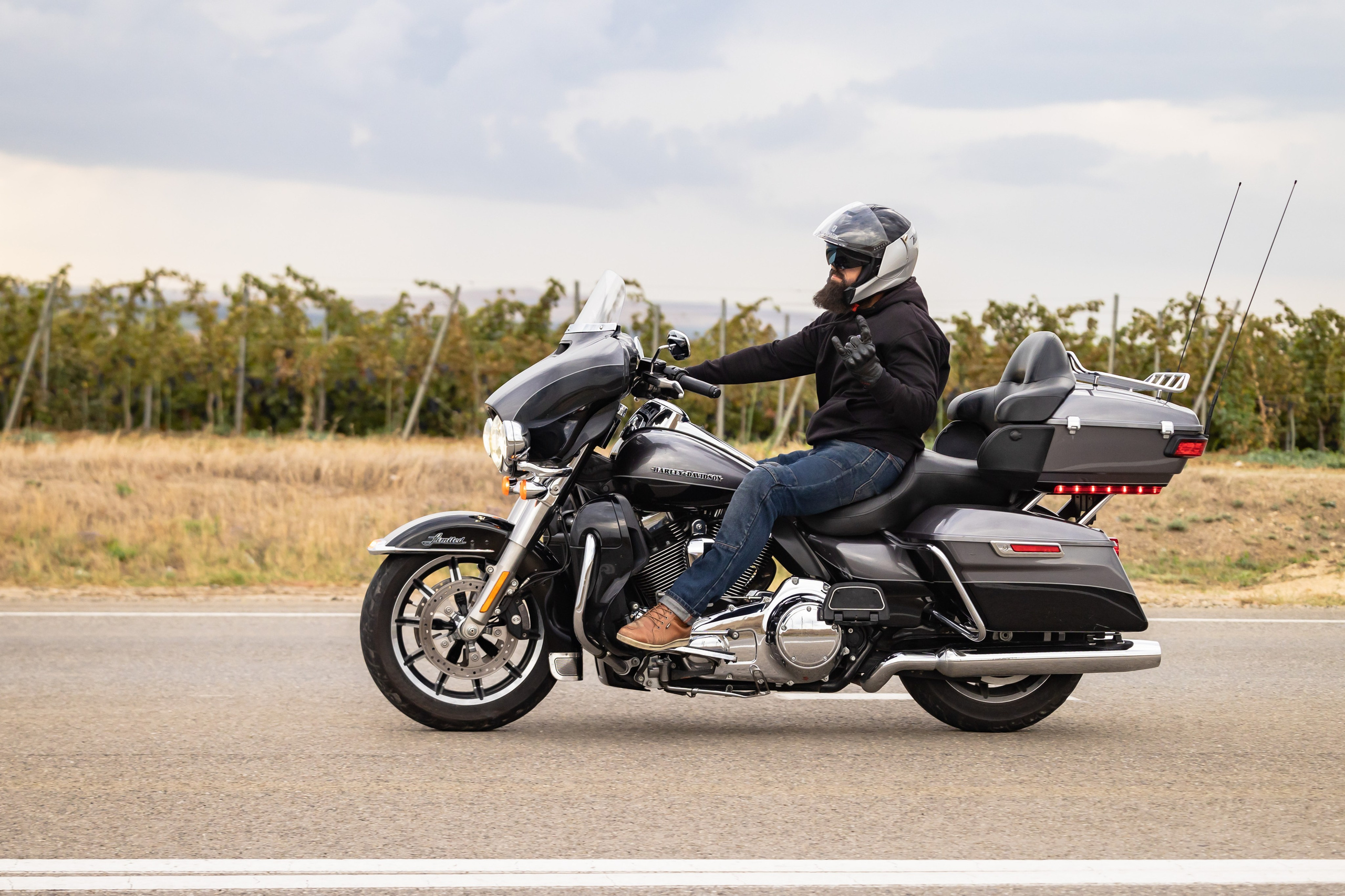 Южное Сафари в Тамани. Сентябрь 2024. Фотограф Владимир Охрименко