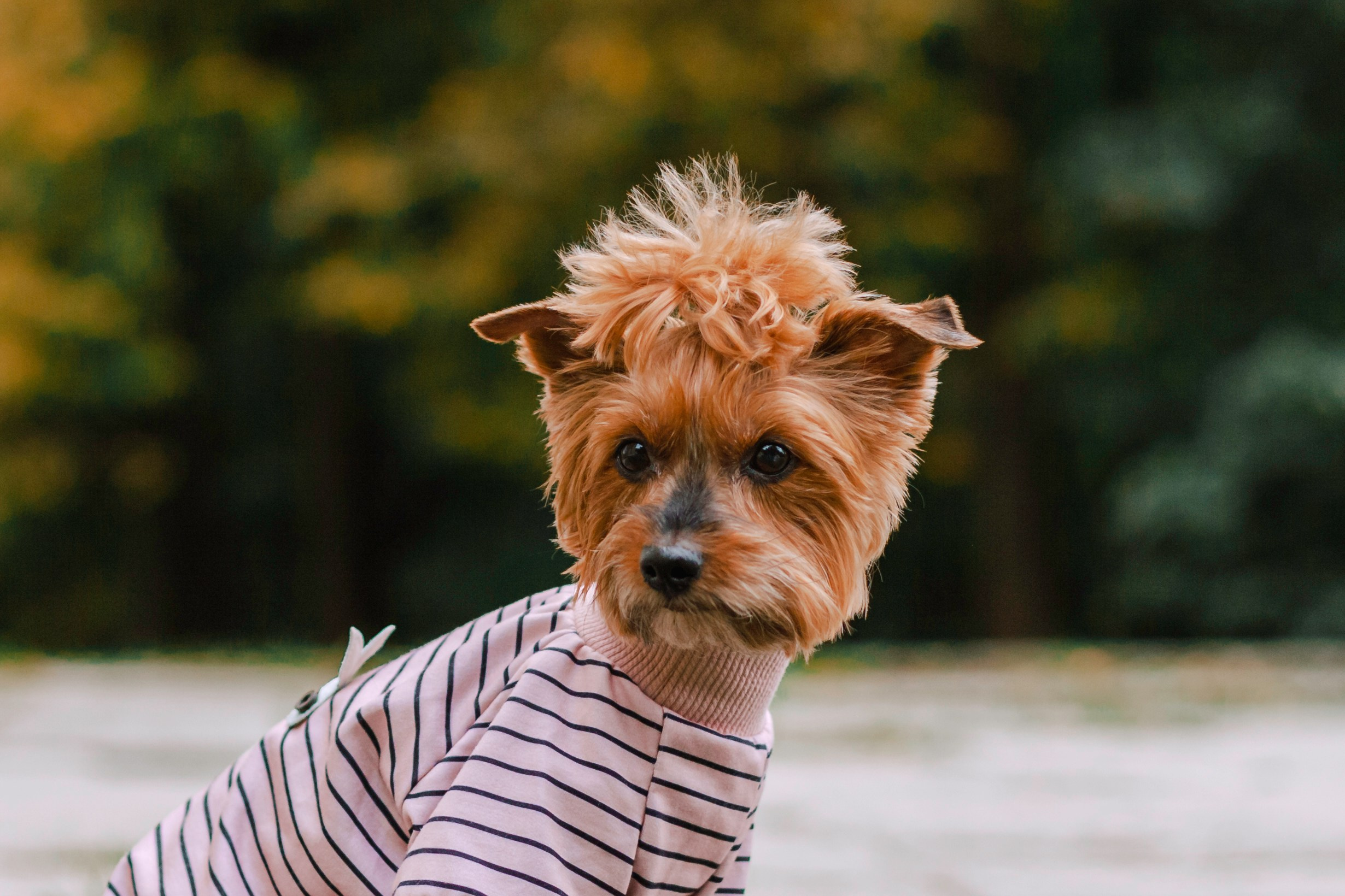 Катя и Моня. Фотограф-анималист Татьяна Степанова