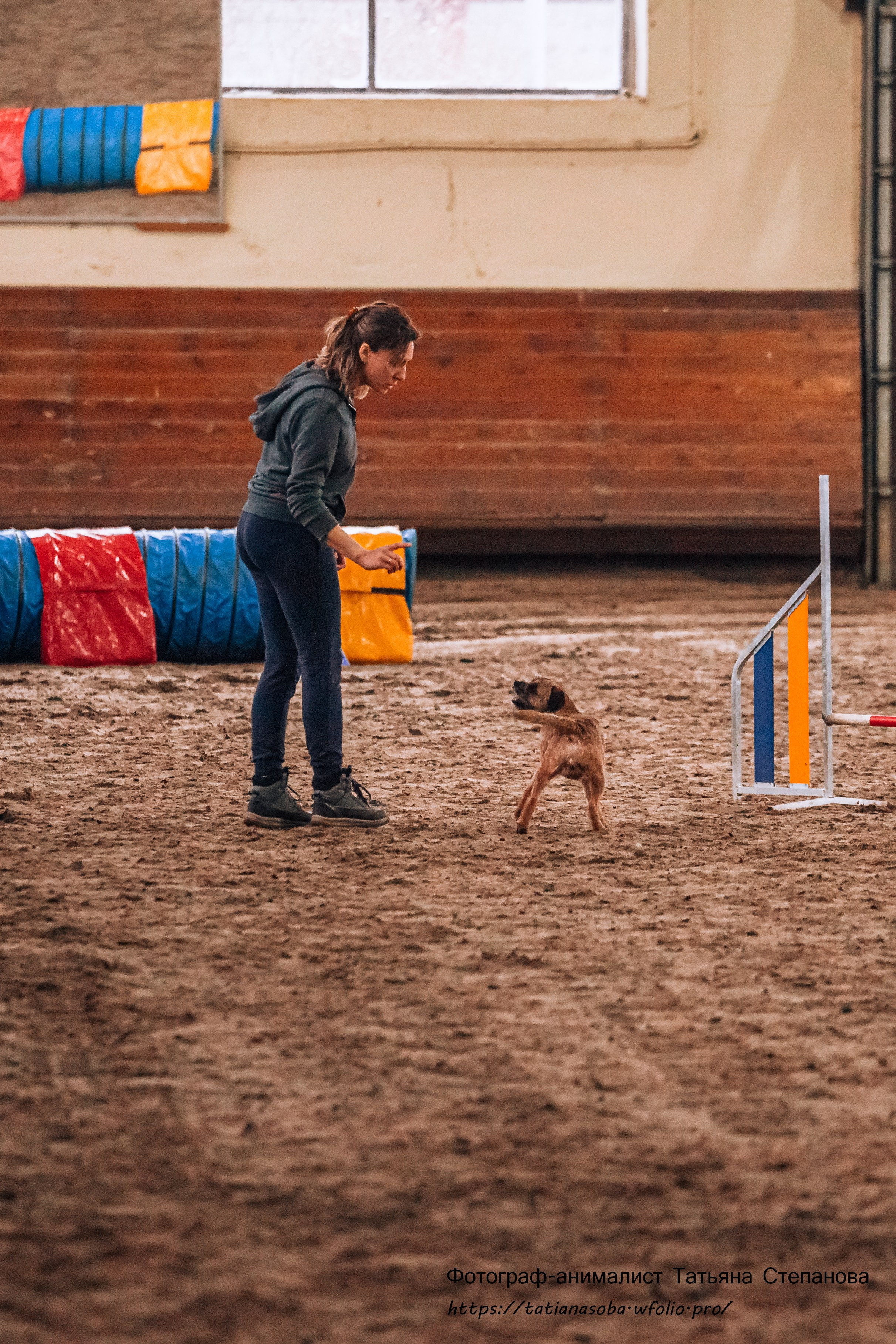 Соревнования по Аджилити 25.02.2024. Фотограф-анималист Татьяна Степанова
