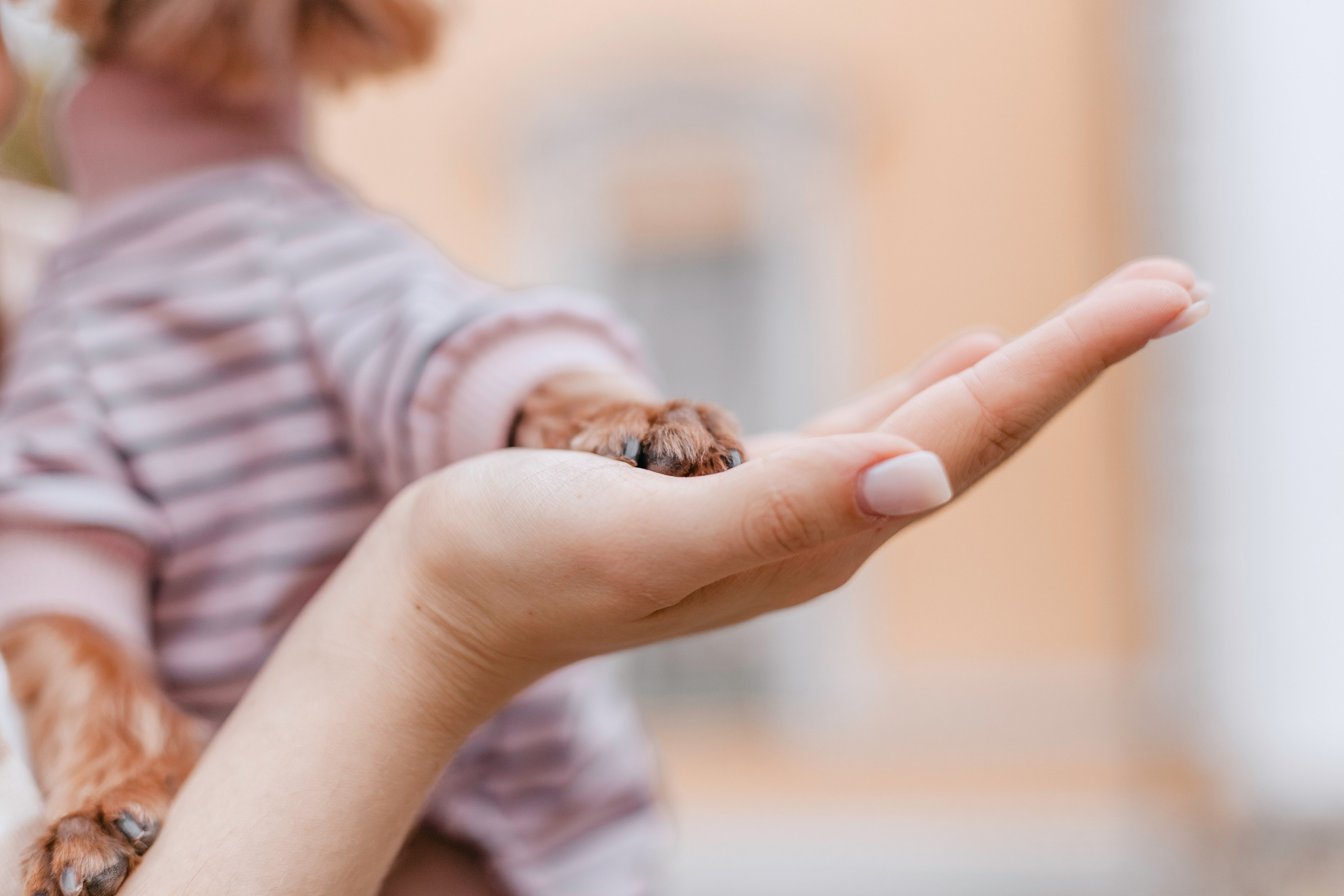 Катя и Моня. Фотограф-анималист Татьяна Степанова