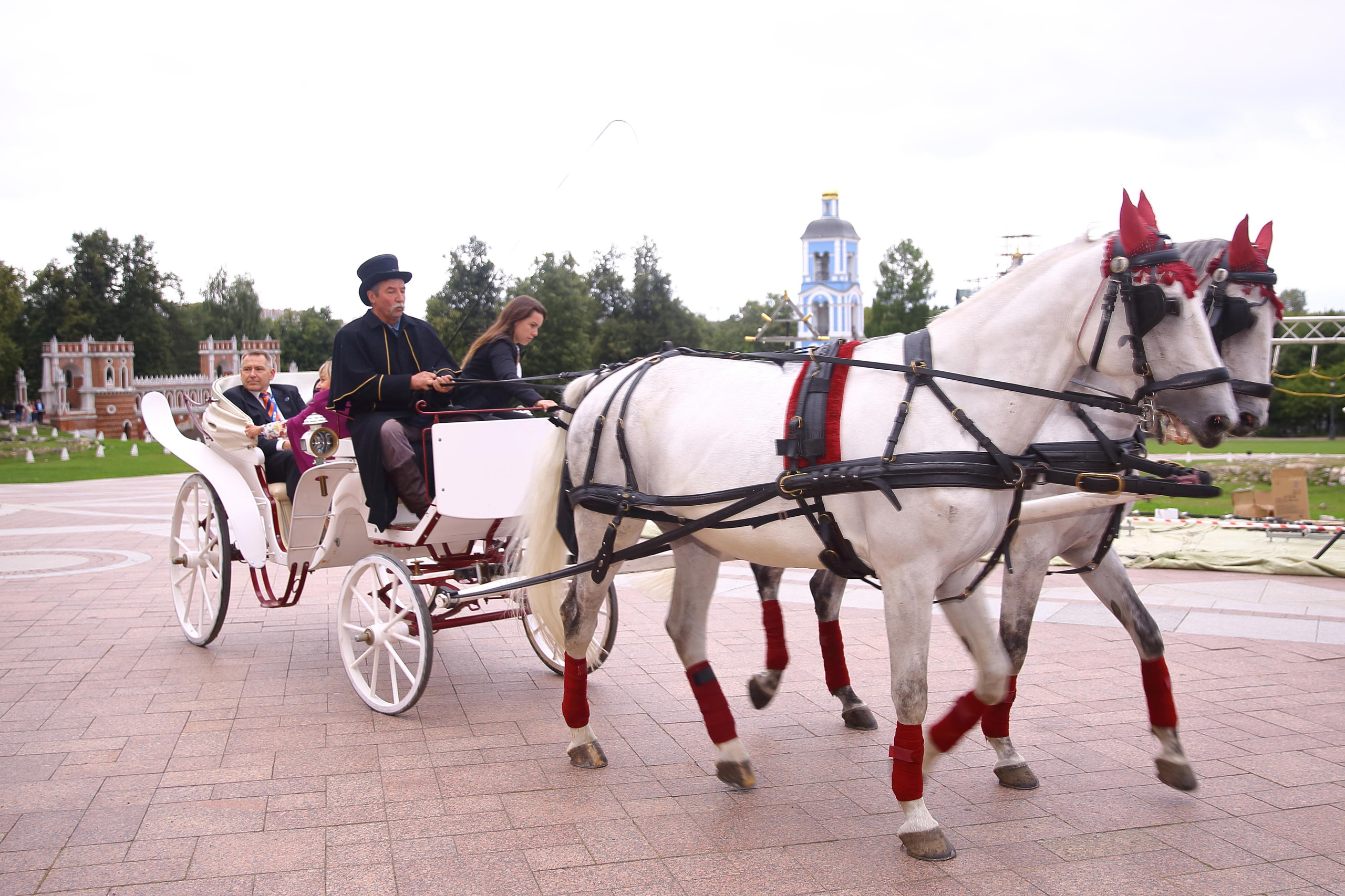Встреча гостей в Царицыно вместе с солистами Геликон оперы. Фотограф ваших самых ярких событий в Москве и СПБ. Збронская Юлия