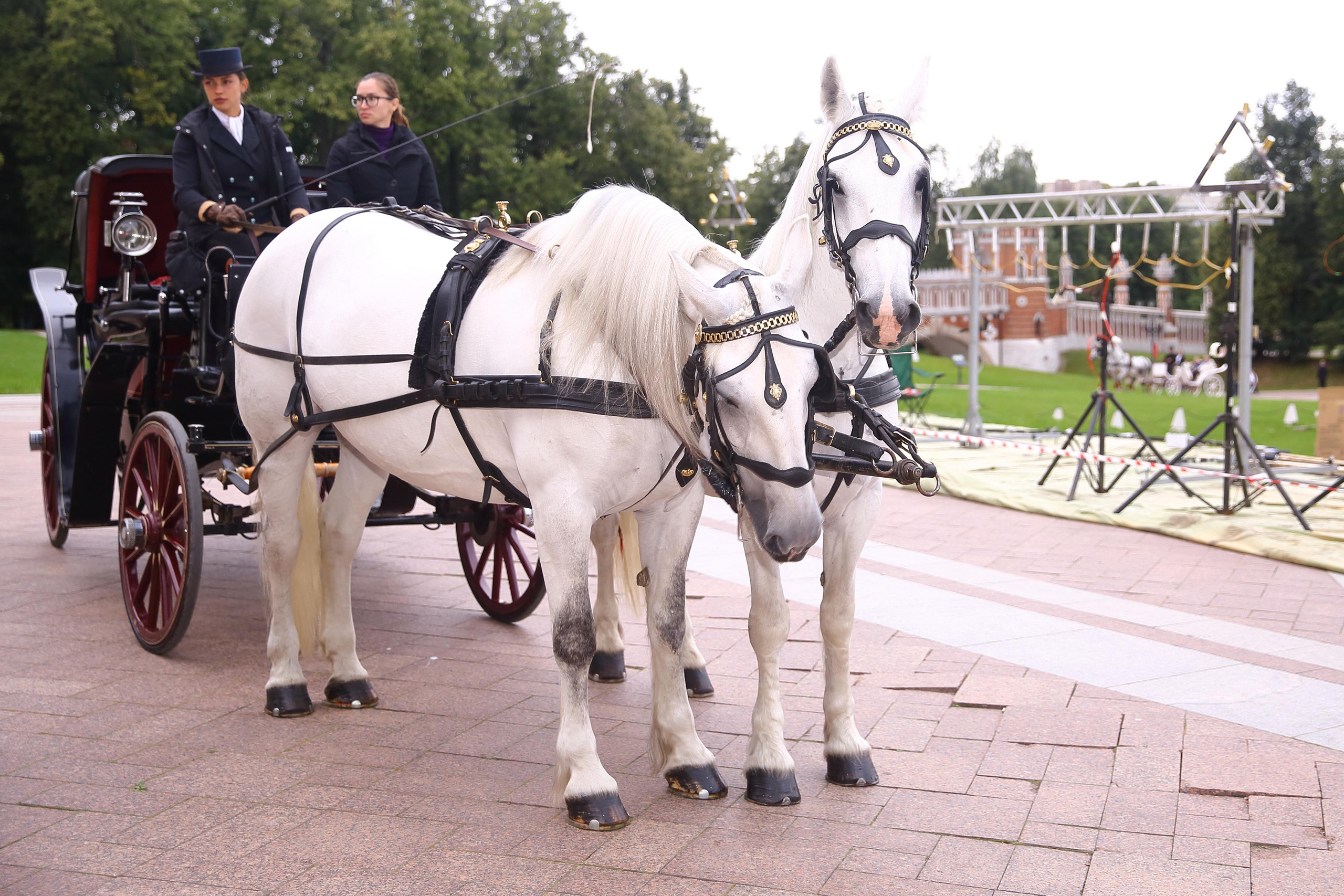 Встреча гостей в Царицыно вместе с солистами Геликон оперы. Фотограф ваших самых ярких событий в Москве и СПБ. Збронская Юлия