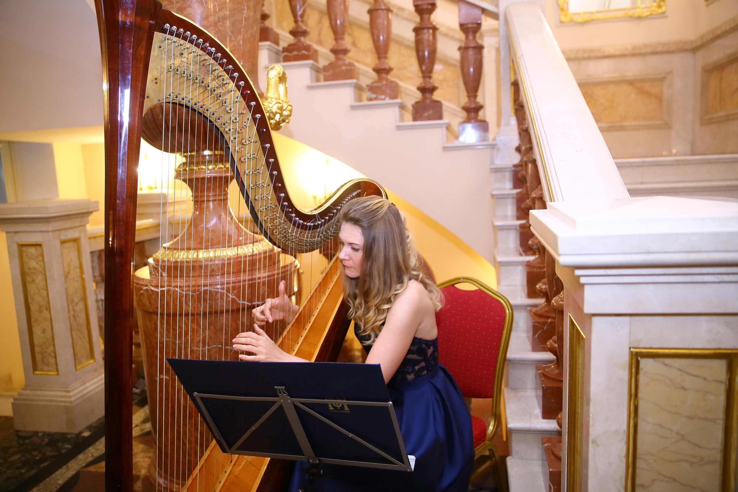 Встреча гостей в Царицыно вместе с солистами Геликон оперы. Фотограф ваших самых ярких событий в Москве и СПБ. Збронская Юлия