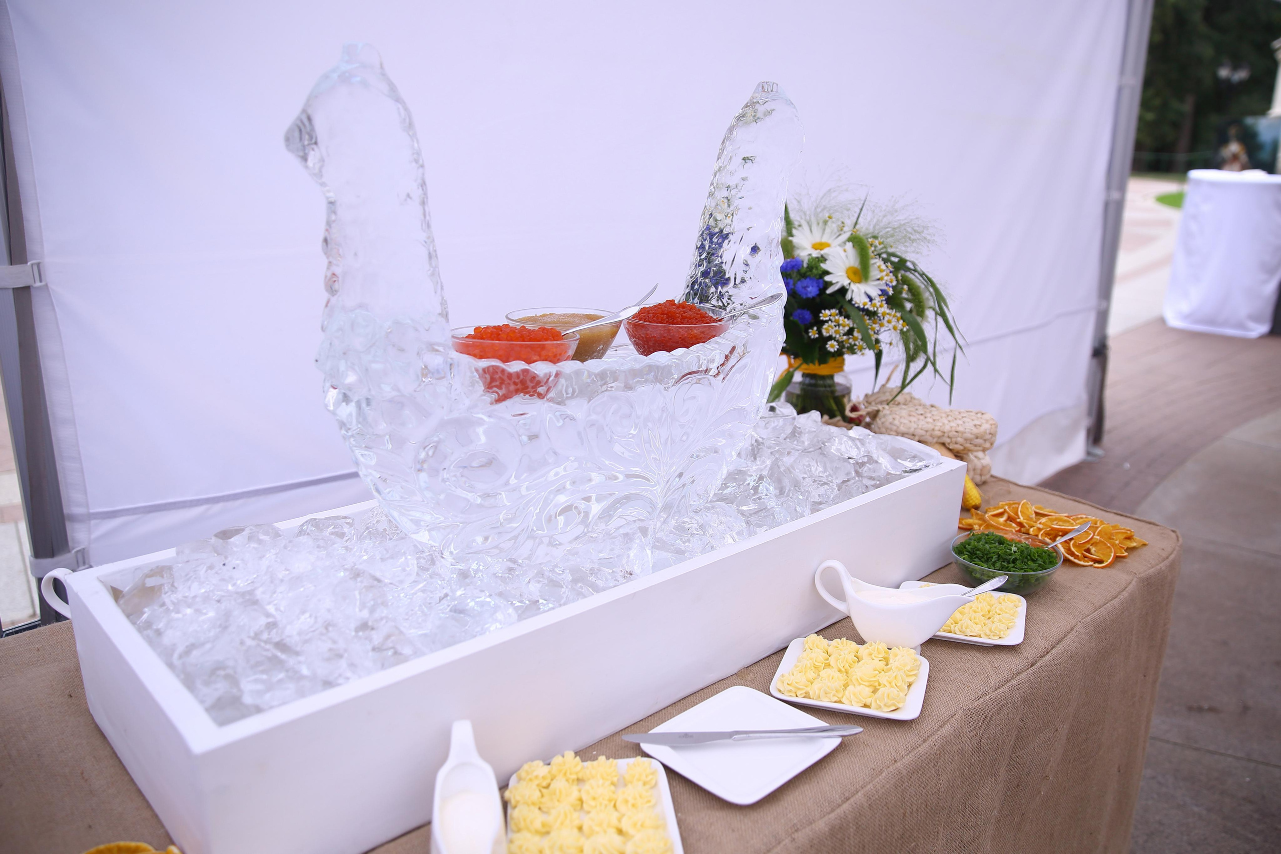 Встреча гостей в Царицыно вместе с солистами Геликон оперы. Фотограф ваших самых ярких событий в Москве и СПБ. Збронская Юлия