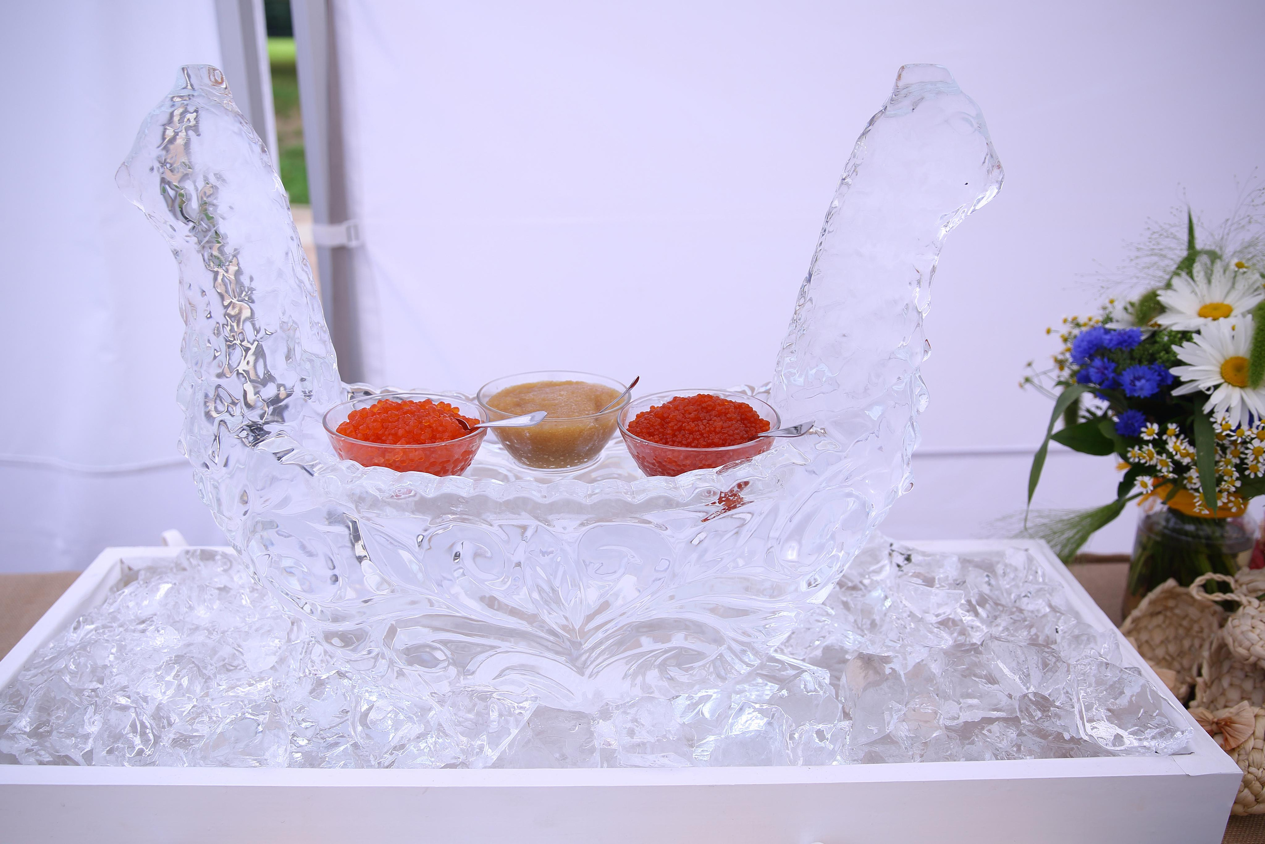 Встреча гостей в Царицыно вместе с солистами Геликон оперы. Фотограф ваших самых ярких событий в Москве и СПБ. Збронская Юлия