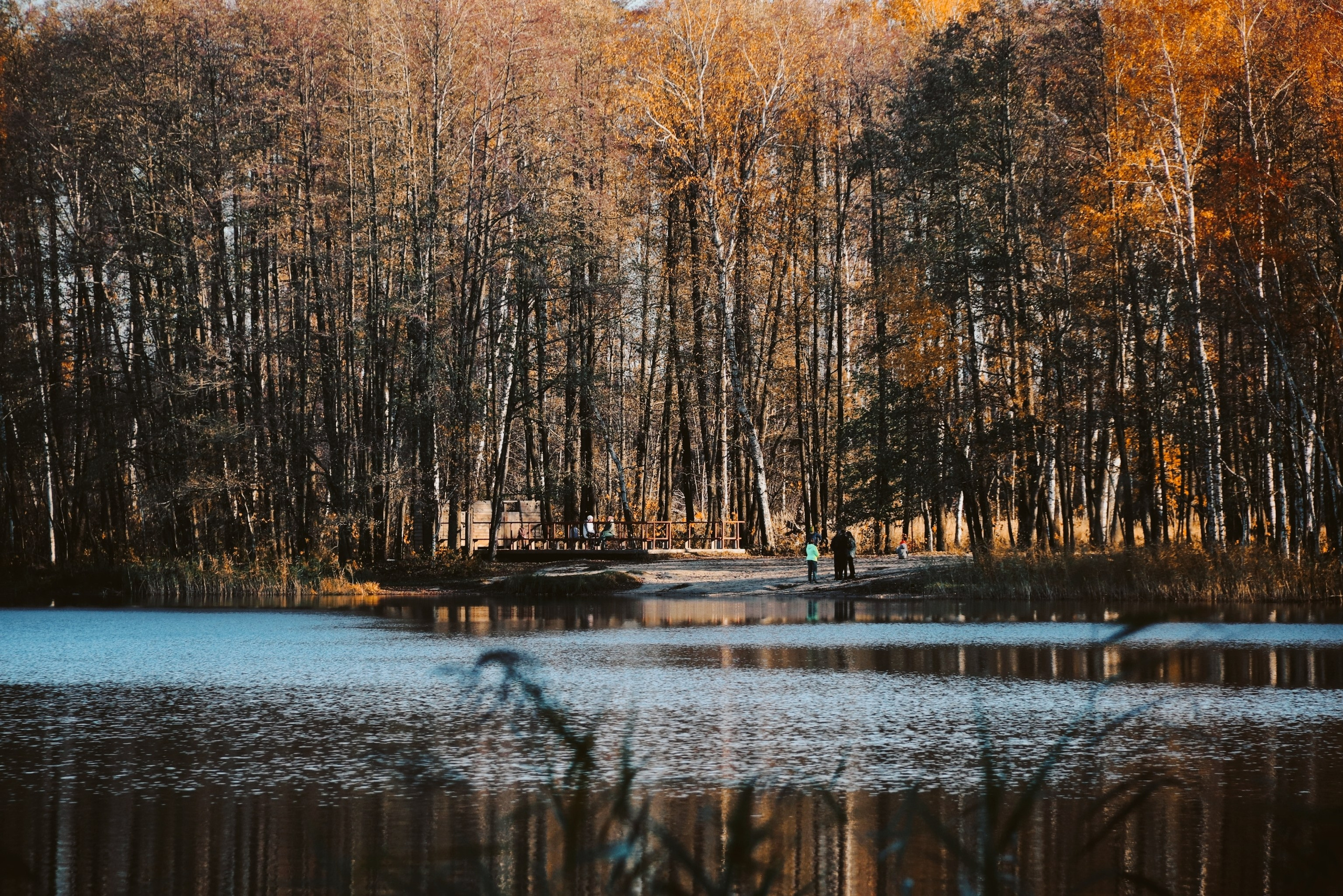 По тропе Паустовского. С любовью, фотохудожник