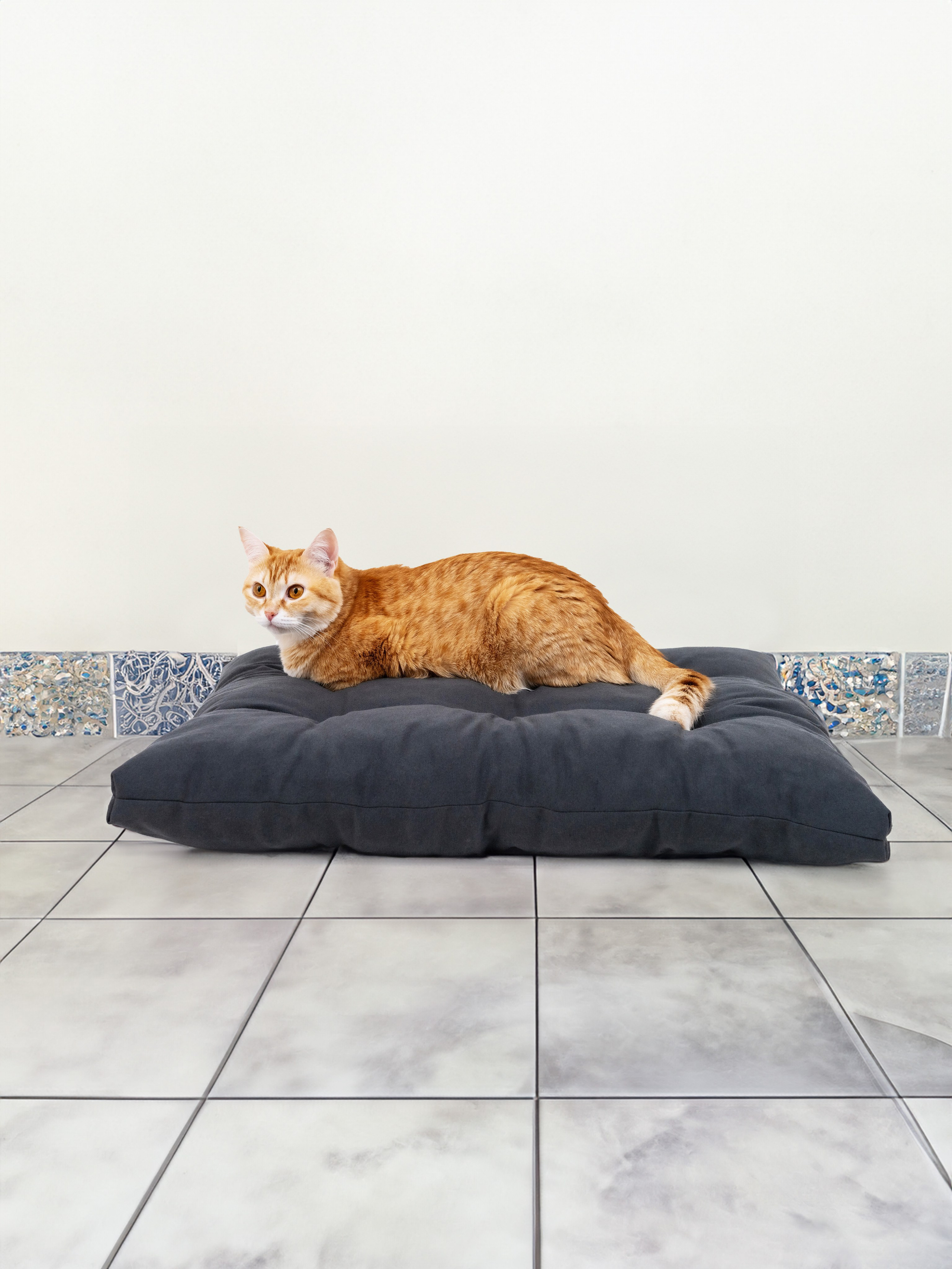 Предметная съемка товара лежанка для животных, с заменой фона и нанесением инфографики. Олейник Денис — предметный фотограф, фотограф для маркетплейсов в Казани