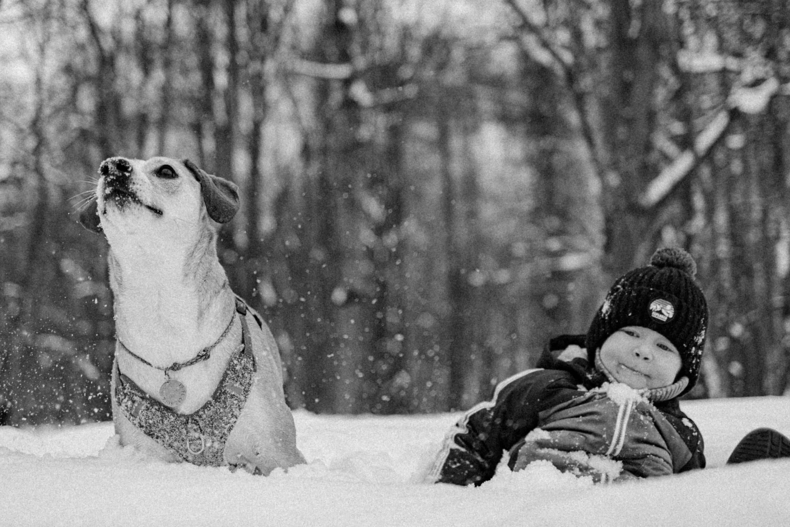 Фотограф-анималист в Москве Лера Черноног