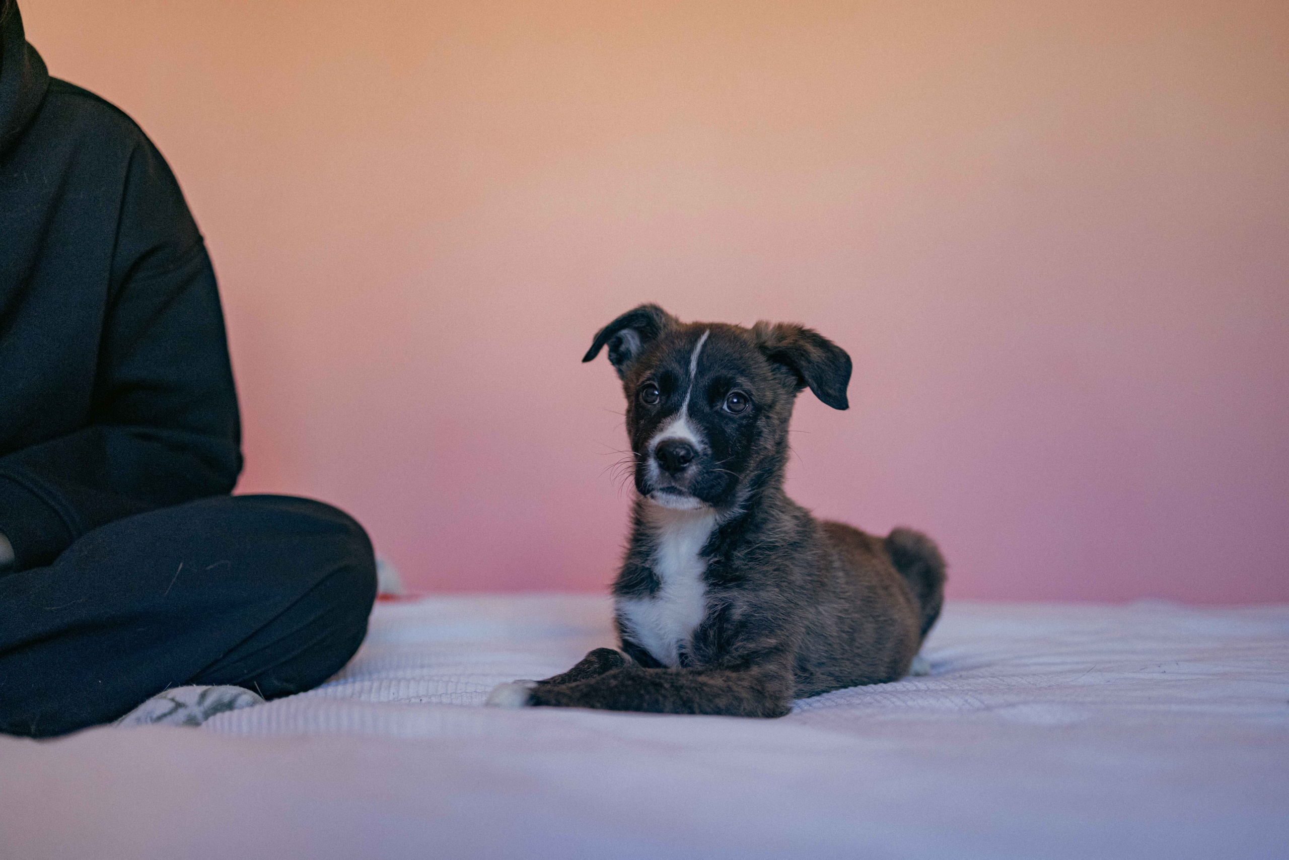 Гайка. Фотограф-анималист в Москве Лера Черноног