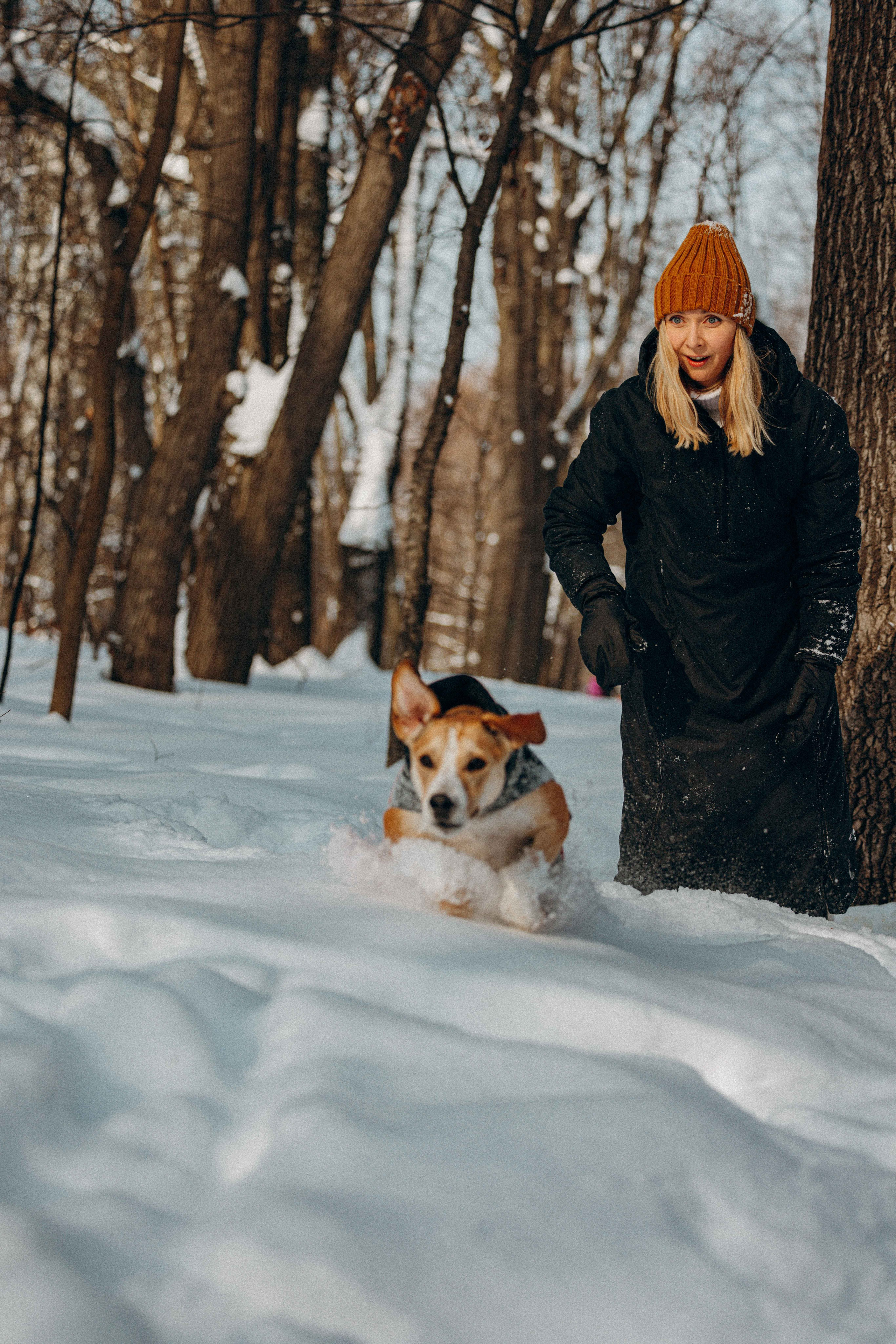 Свобода и ее семья. Фотограф-анималист в Москве Лера Черноног