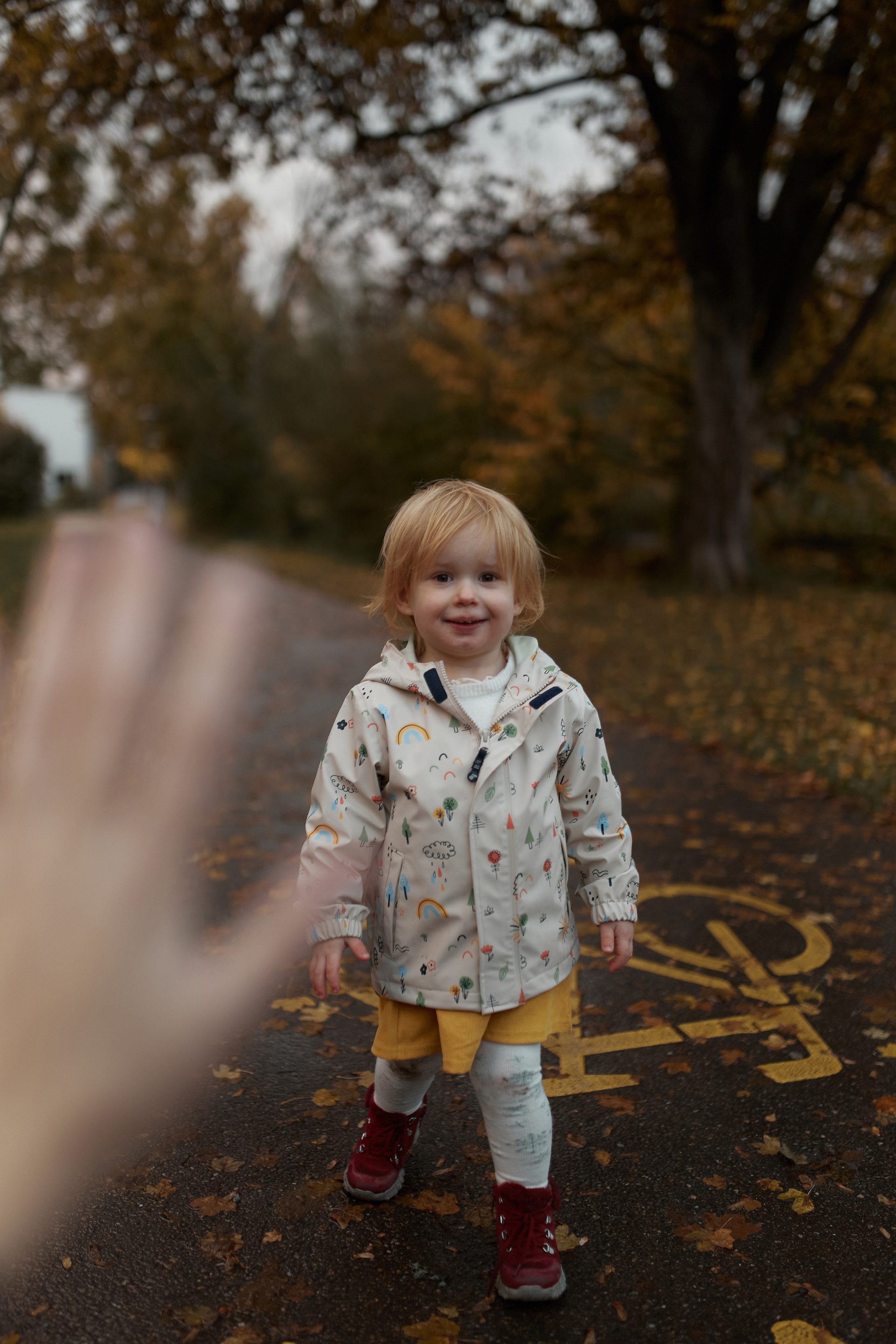 Осень в Цюрихе. Ваш душевный фотограф